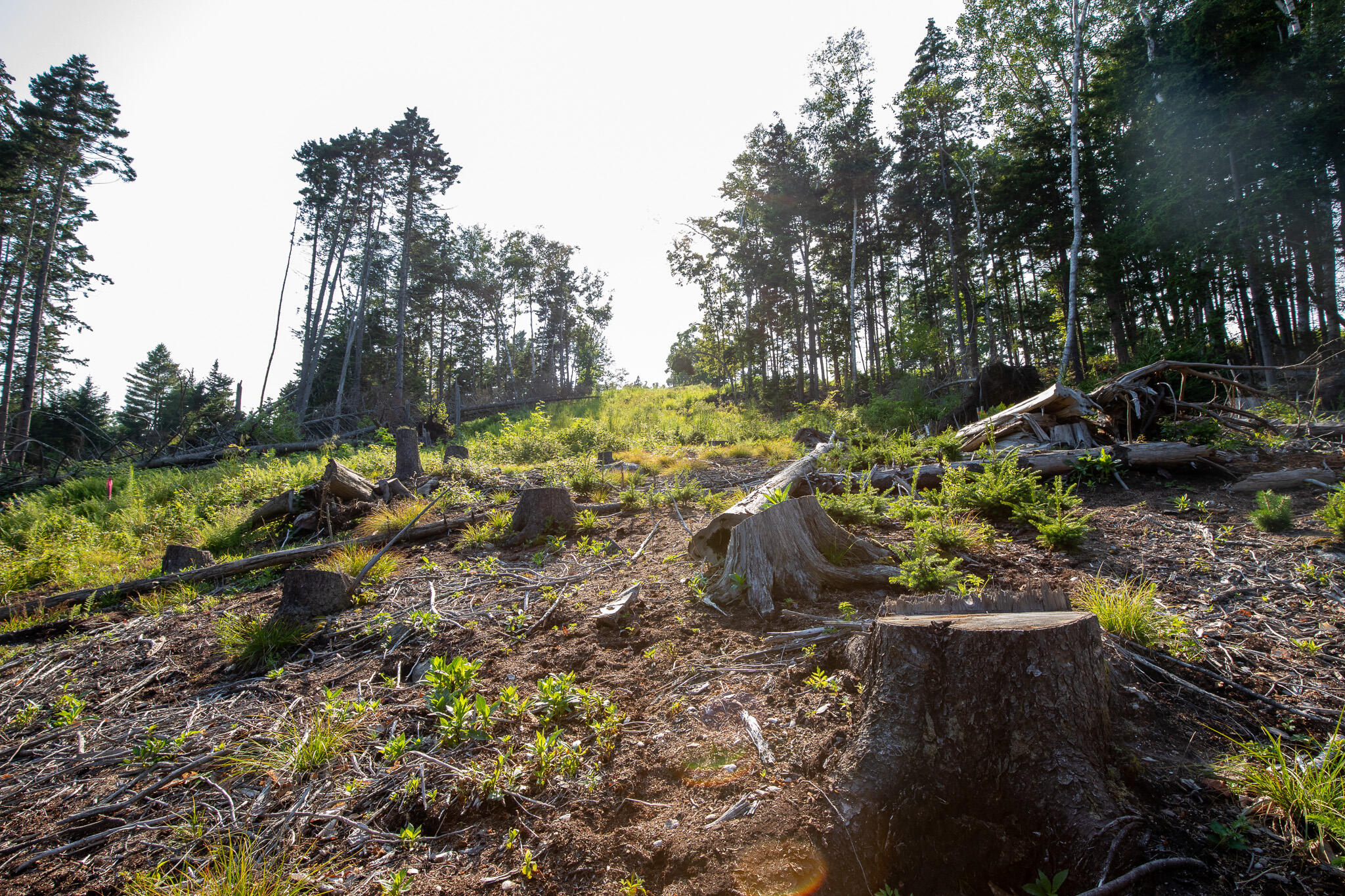 0 Bayview Road UNIT 2, Harpswell, ME, 04066