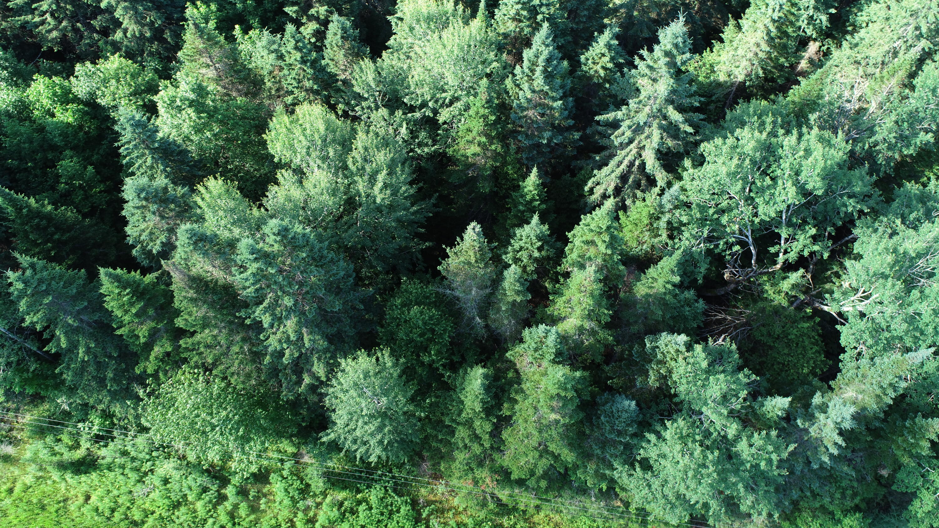 Lot 27 Brewer Road, Cary Plt, ME, 04471