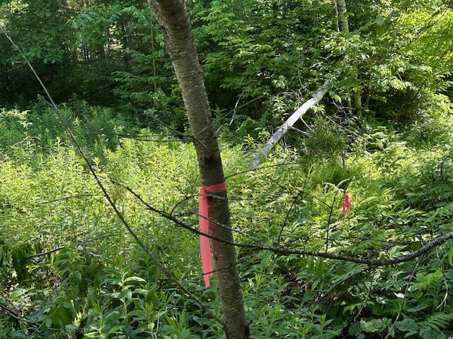 Lot UNIT&nbsp;5 Bonnie Way, Winterport, ME, 04496