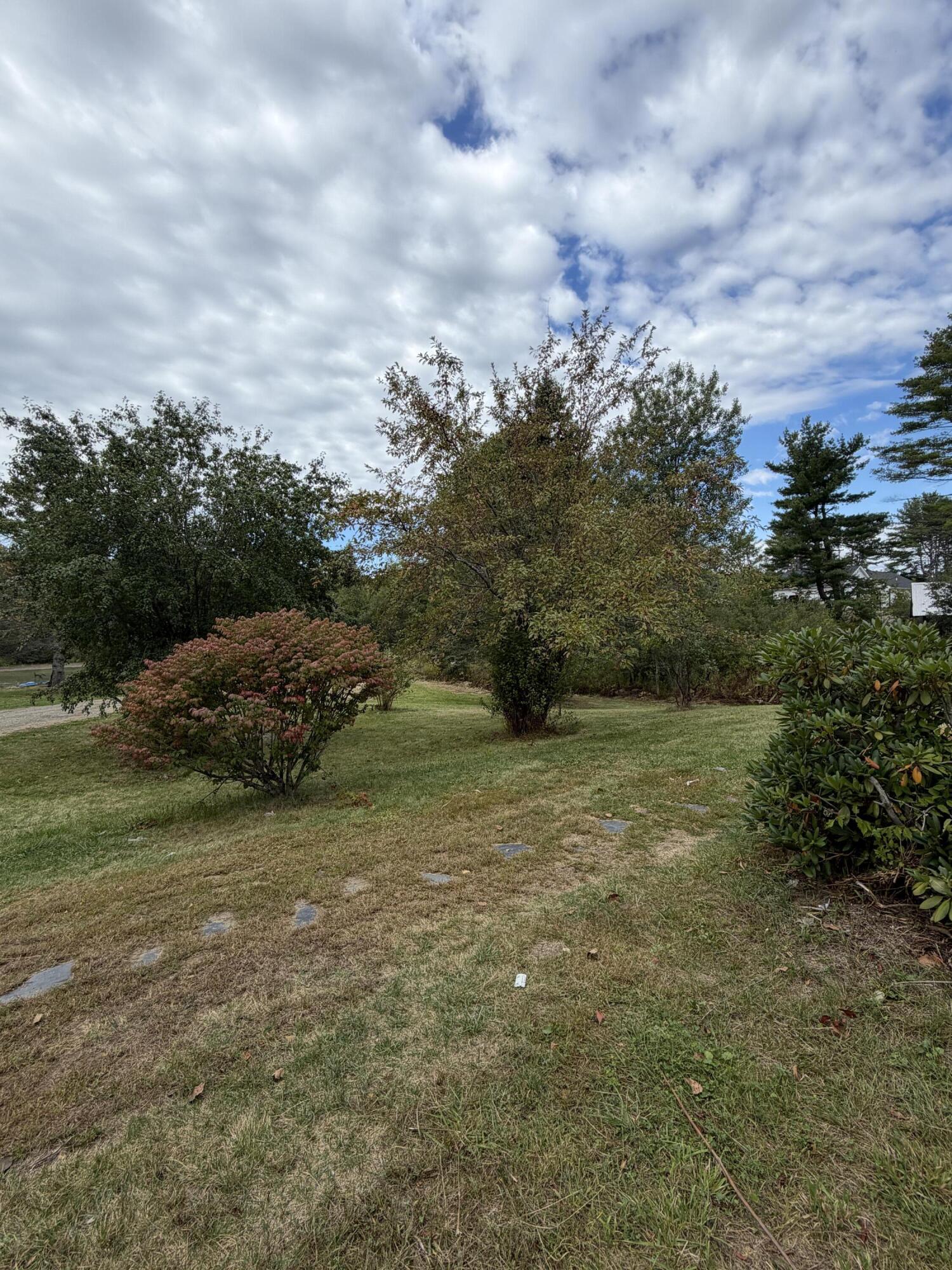 Mature Landscaping