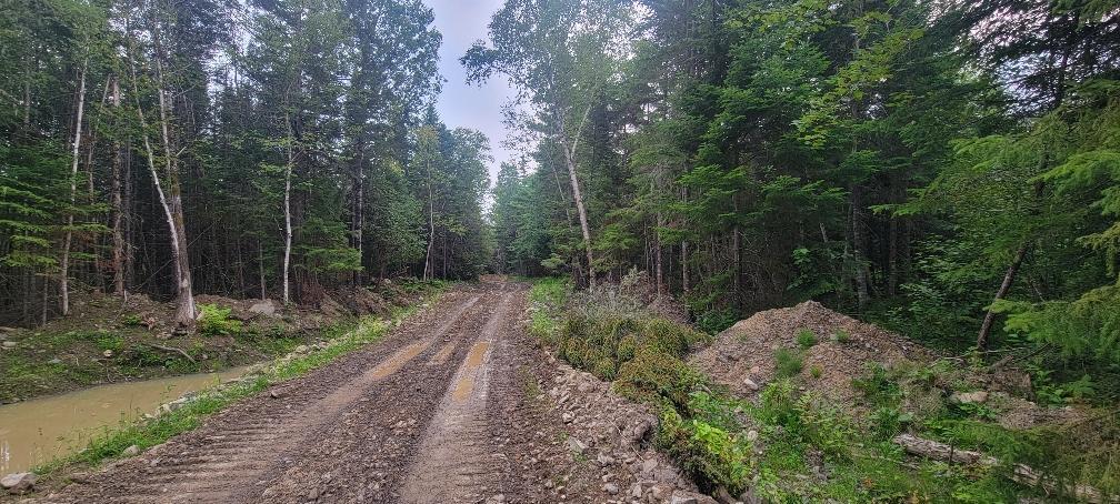 005-005 Grendell Road, Chapman, ME, 04757