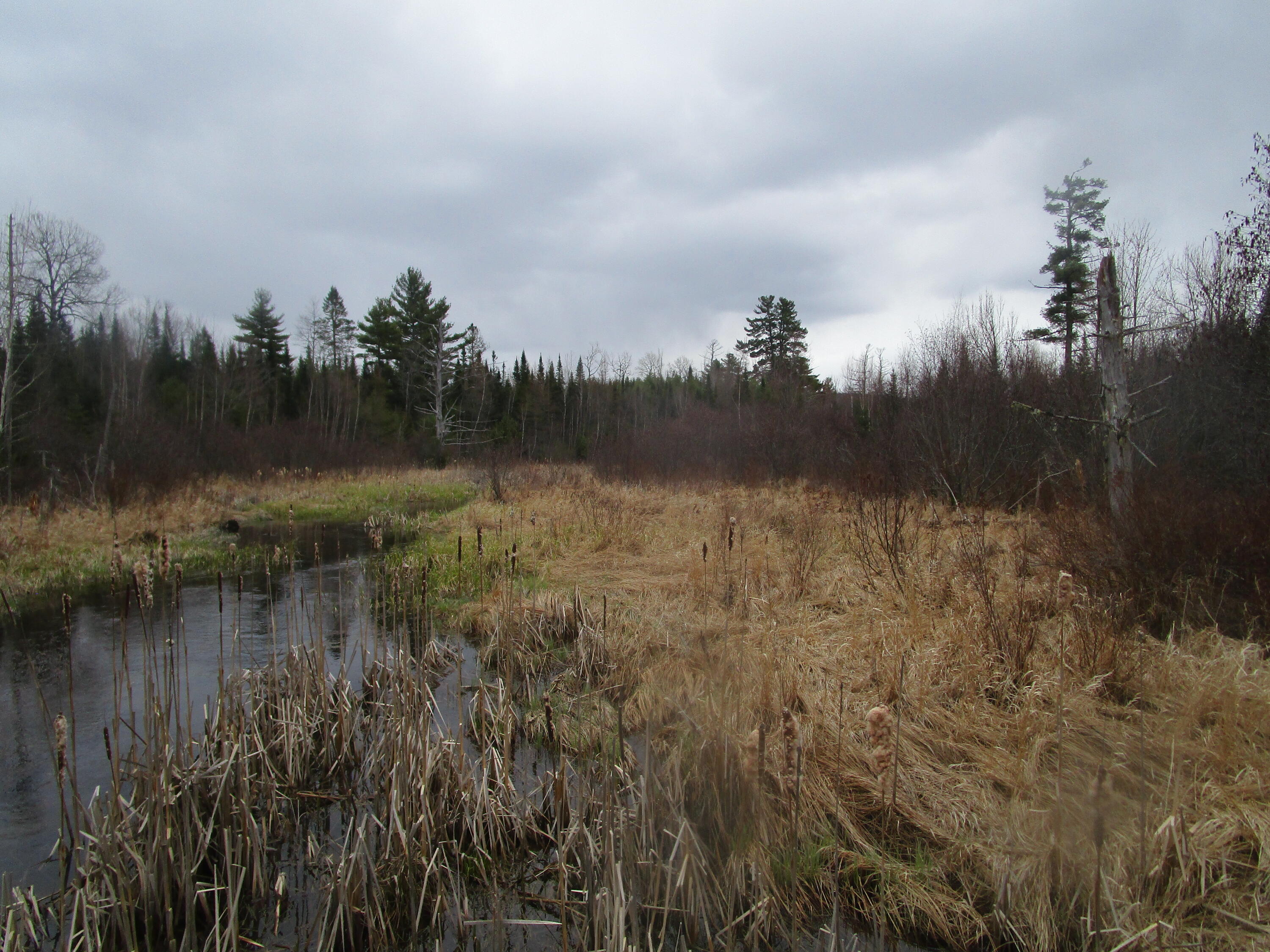 Rt 180 Rebel Hill Road, Clifton, ME, 04428