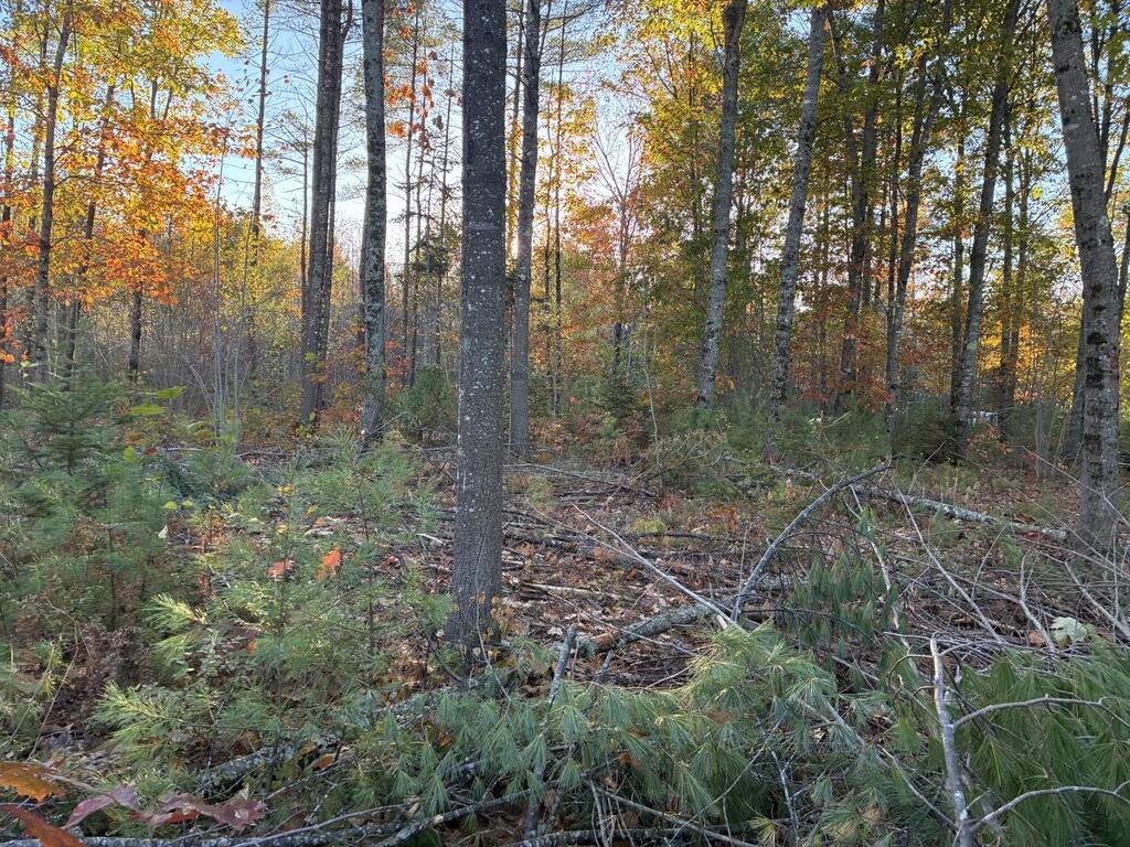 Lot2Ground4