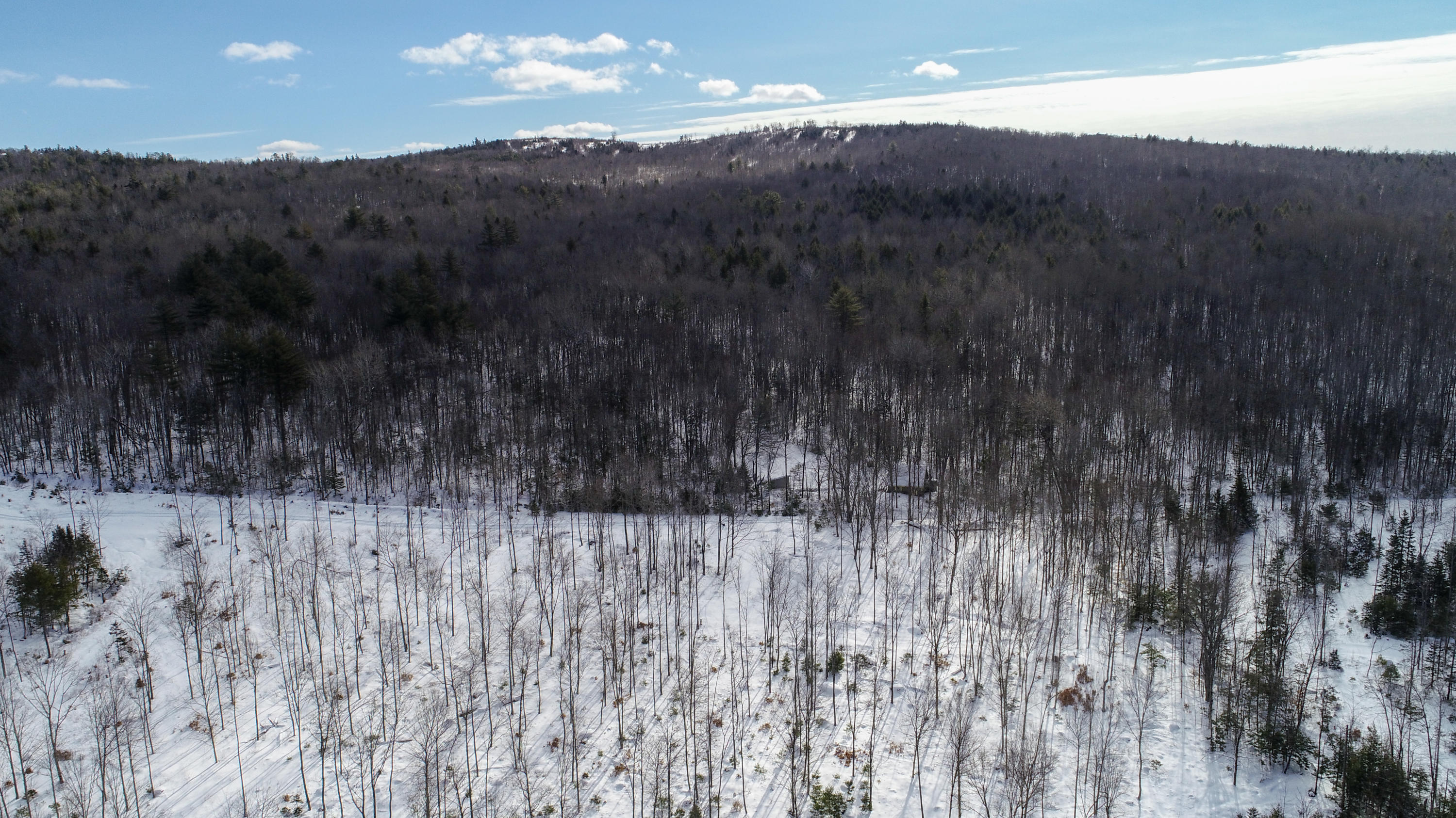 Tbd Black Brook Road, Woodstock, ME, 04219