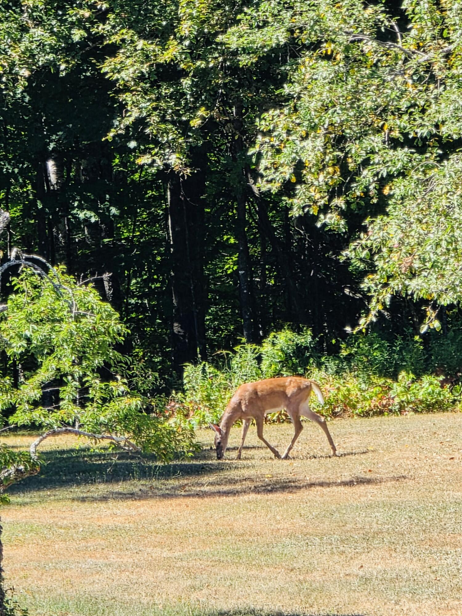 28 Messina Drive, Skowhegan, ME, 04976