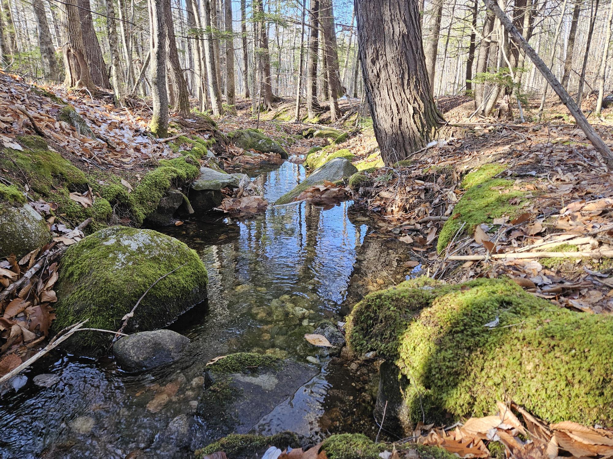 0 French Hill Road, Albany Twp, ME, 04217