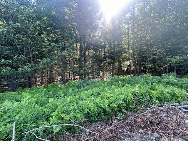 Lot UNIT&nbsp;5 Bonnie Way, Winterport, ME, 04496