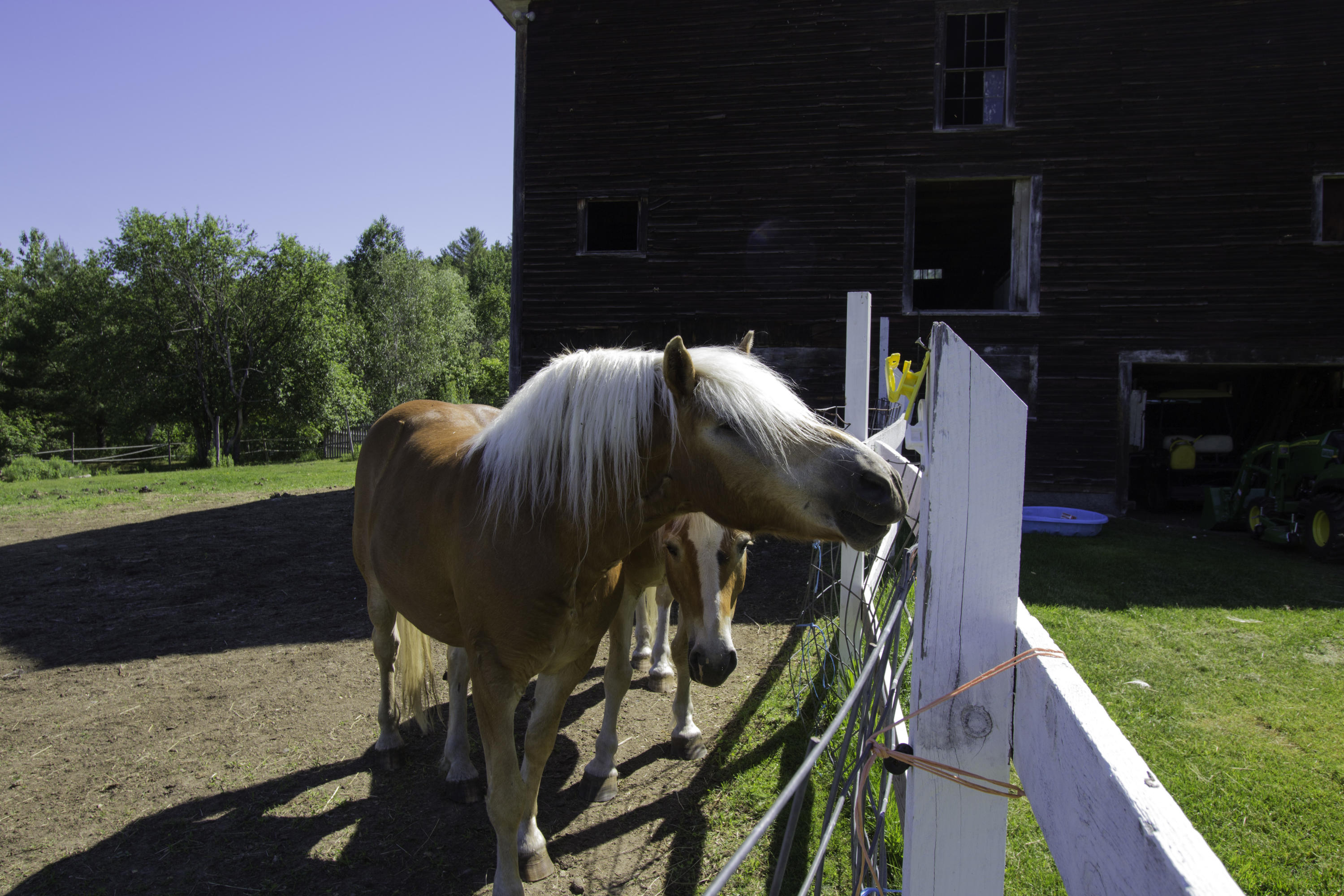 141 Martin Road, Rumford, ME, 04276-4032