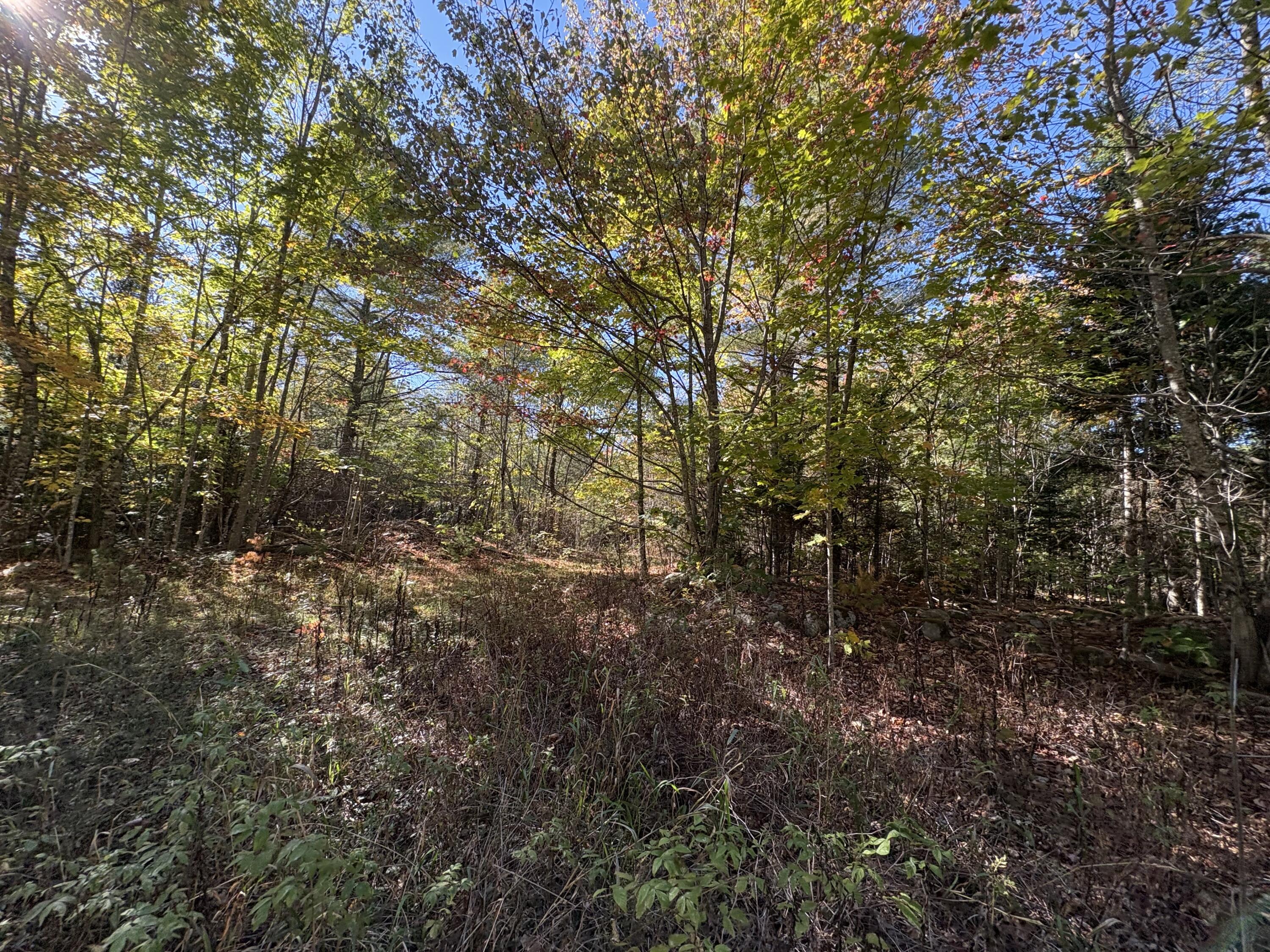 Map1Lot1 Rutland Road, Plymouth, ME, 04969