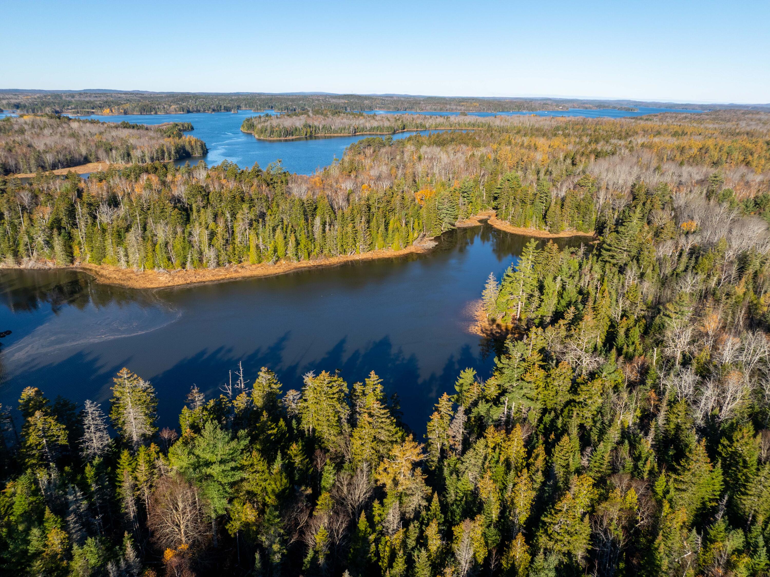 01-4 WA035, Trescott Twp, ME, 04652
