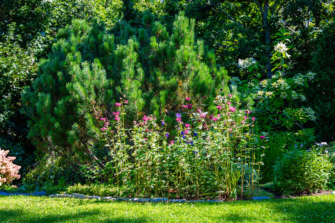 21 Penobscot Avenue, Camden, ME, 04843