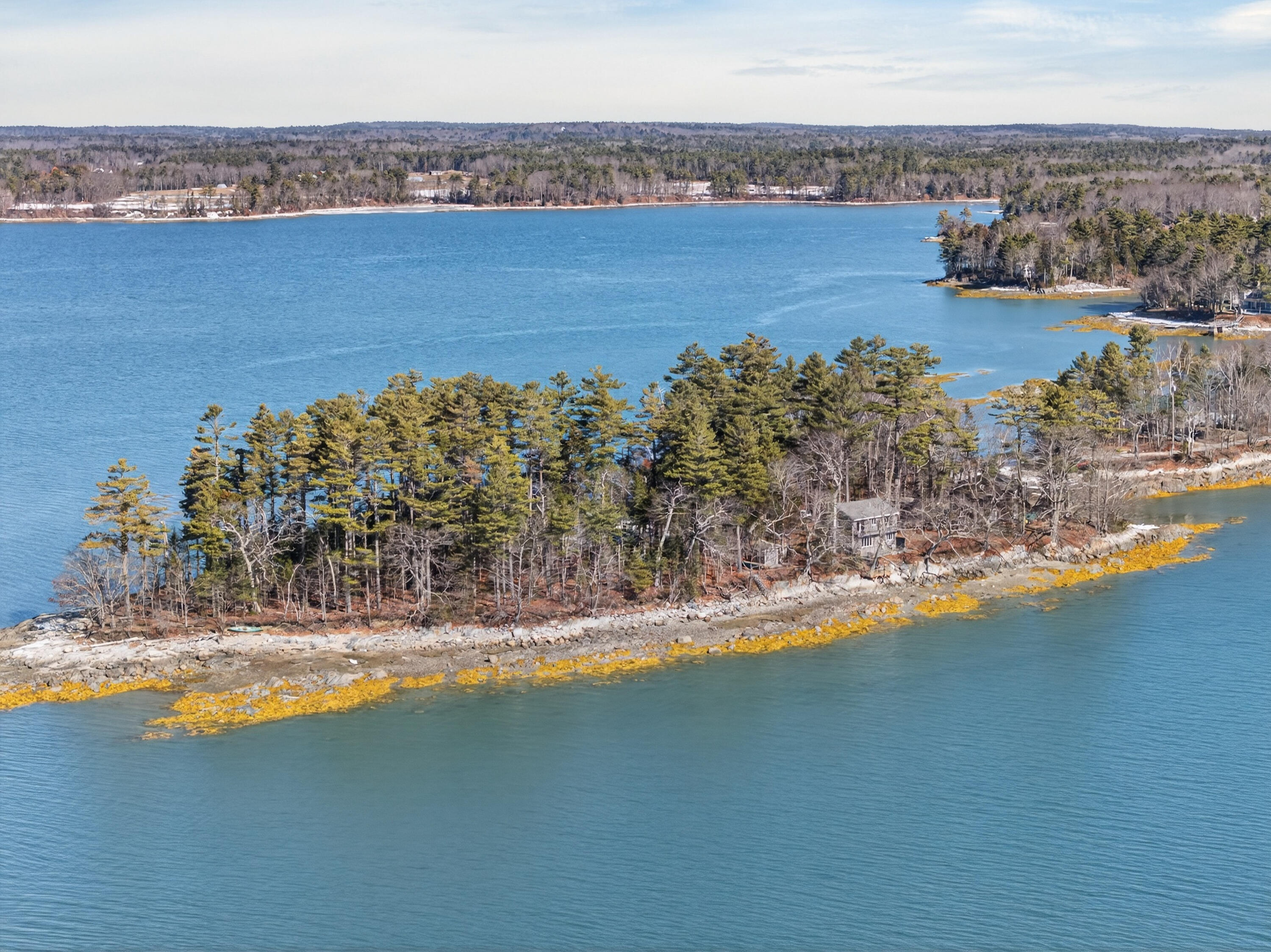 71 Merganser Way, Freeport, ME, 04032