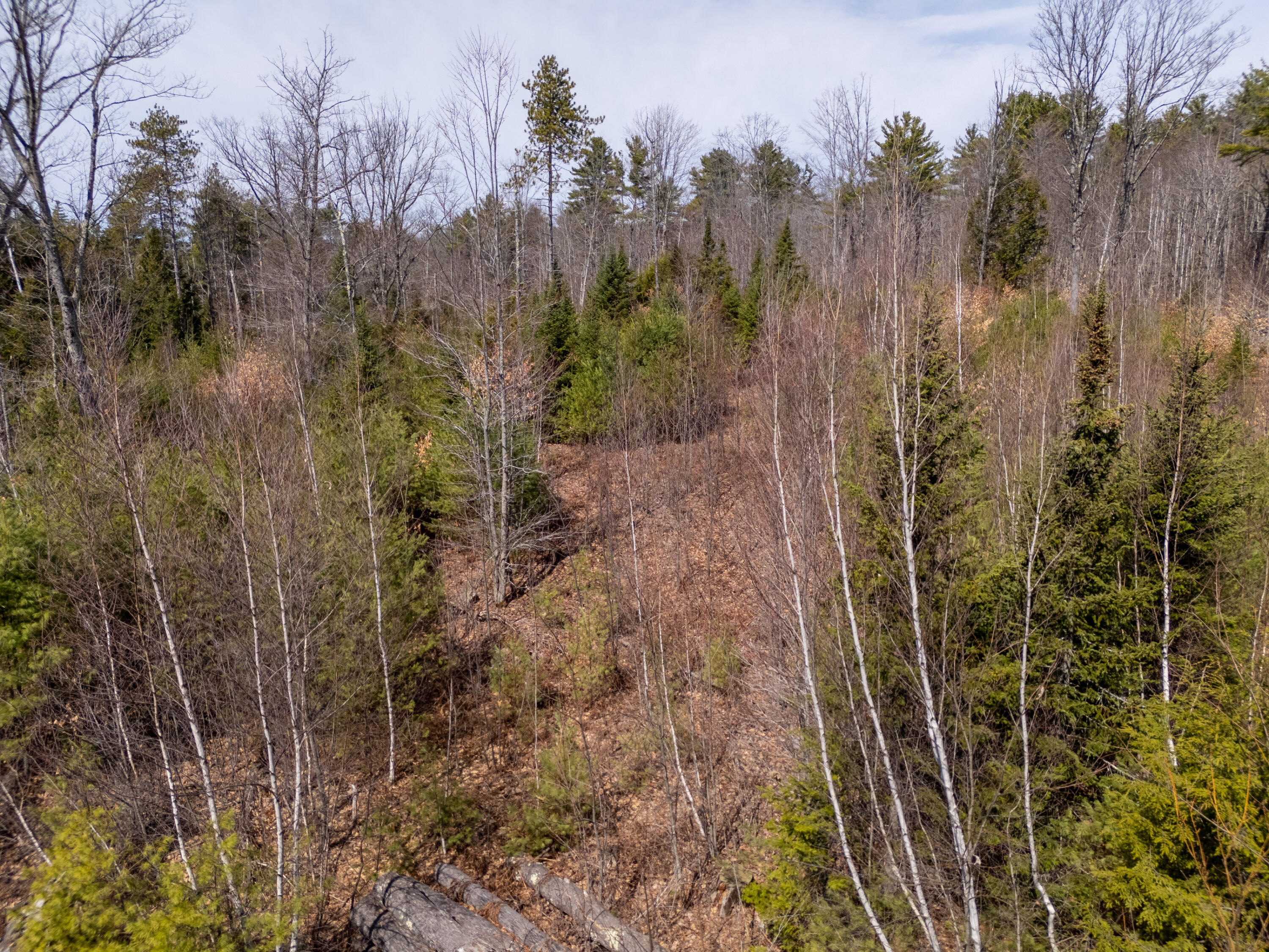 Lot 2 Bell Hill Road Subdivision LLC Road, Otisfield, ME, 04270