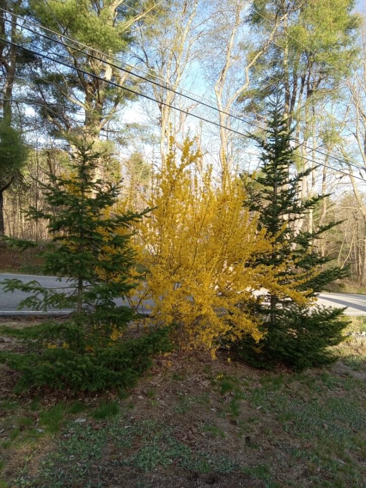 497 Back Road, Shapleigh, ME, 04076