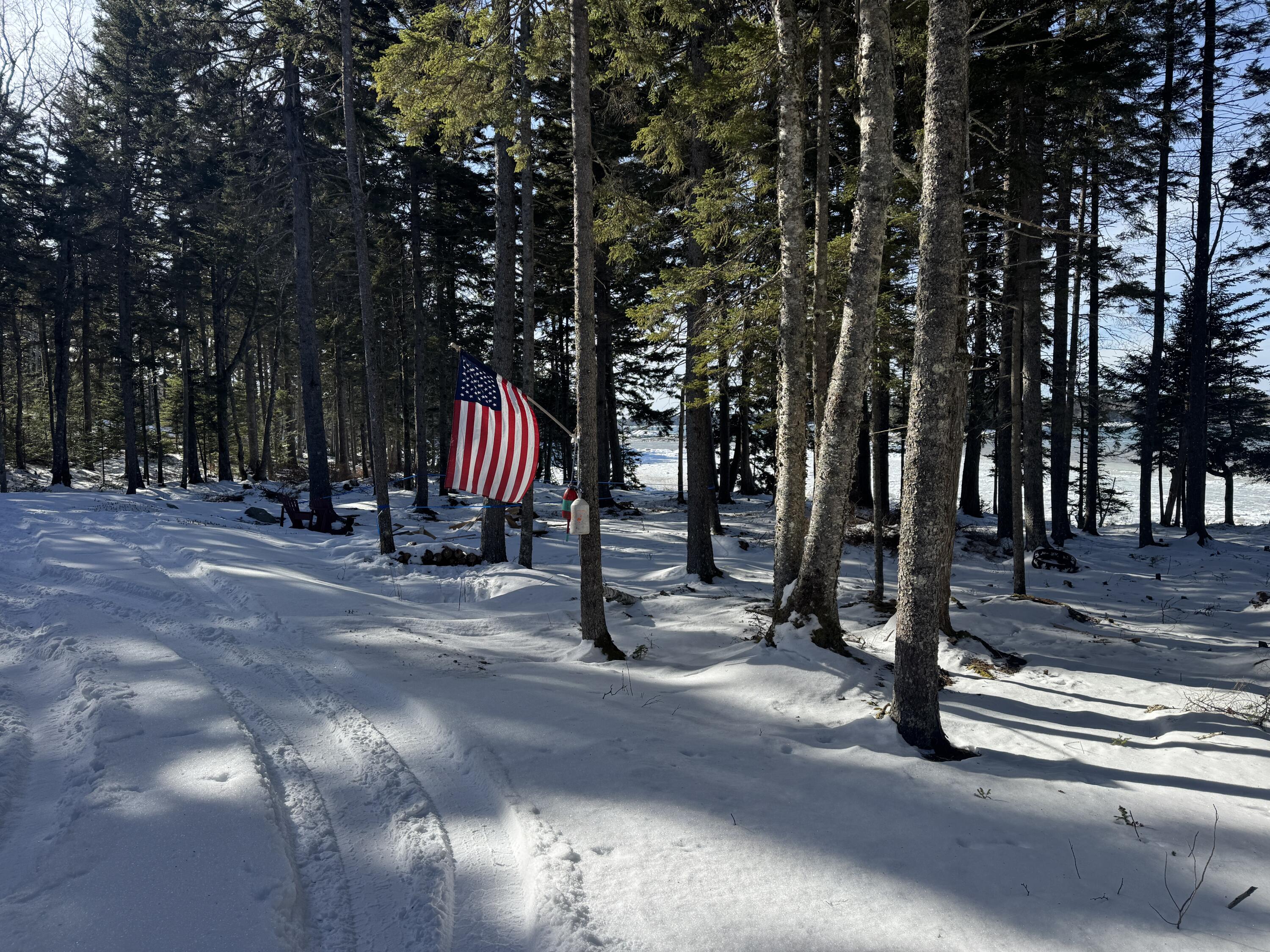 Lot B Fort Williams Road, Harrington, ME, 04643