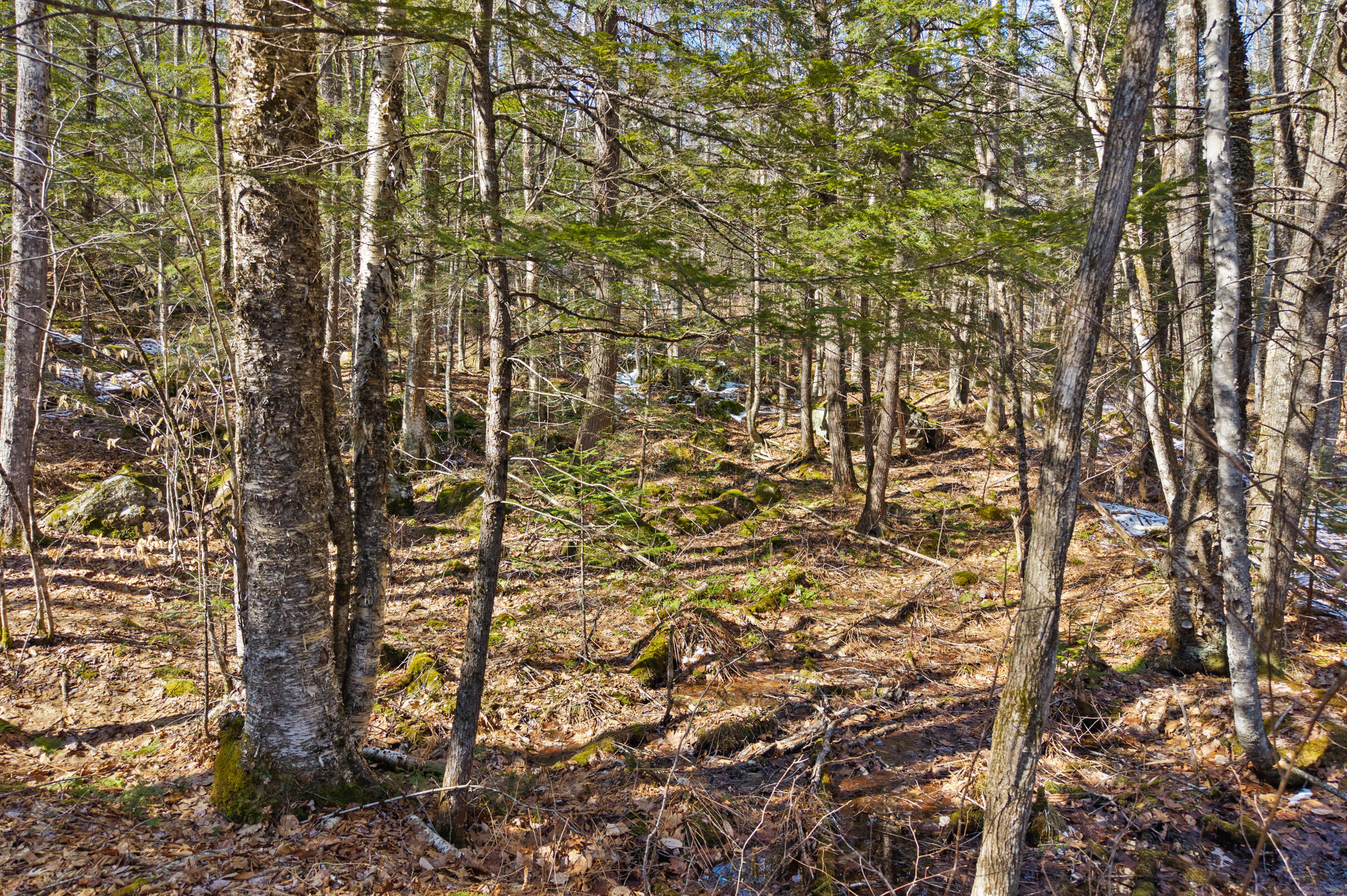 010 Main Street, Sumner, ME, 04220