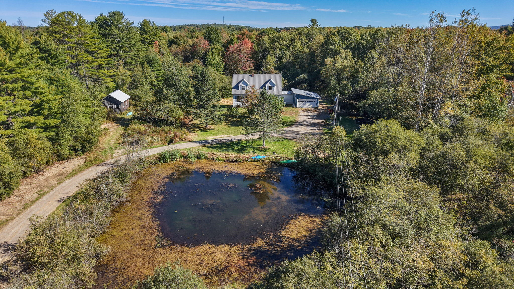Great Pond for Finding Frogs!