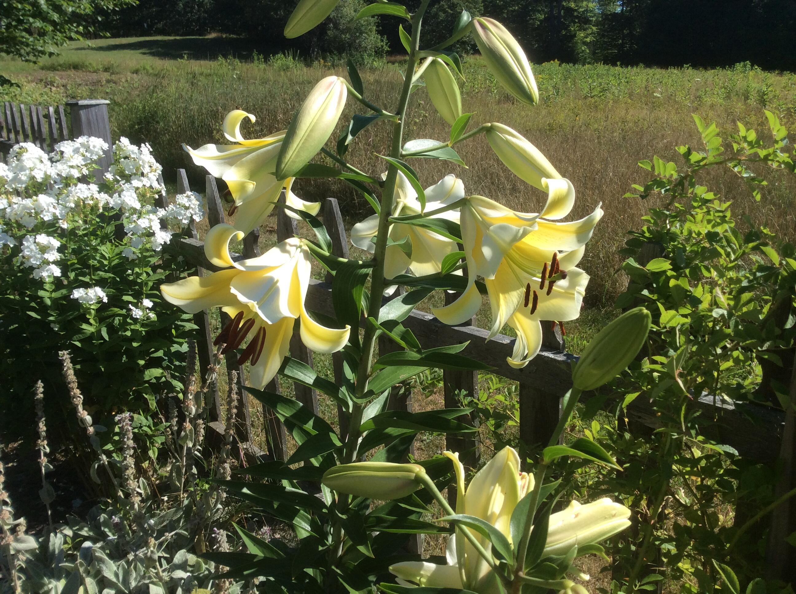 482 Back Road, Shapleigh, ME, 04076