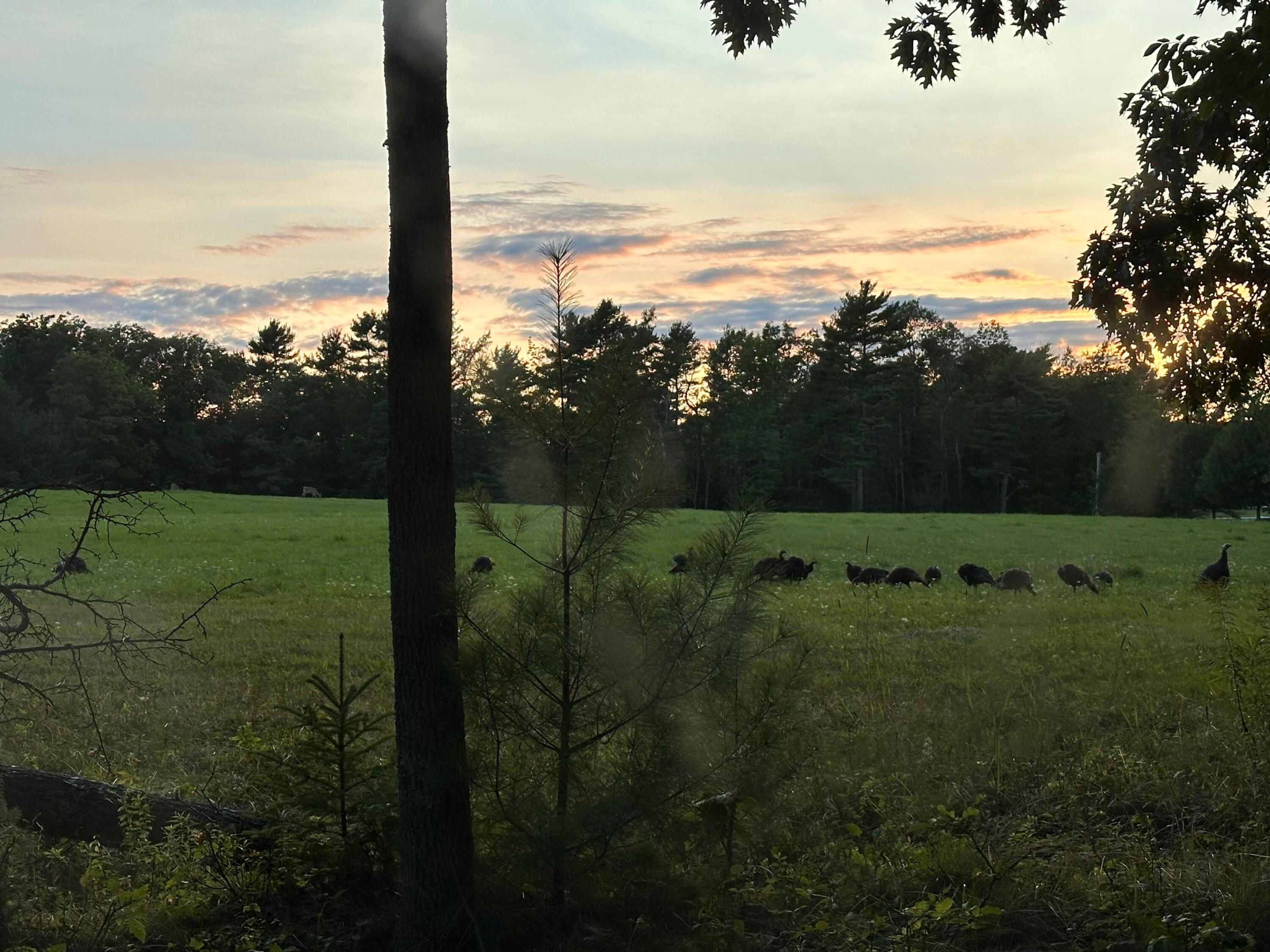 42 Fowler Road, Orrington, ME, 04474