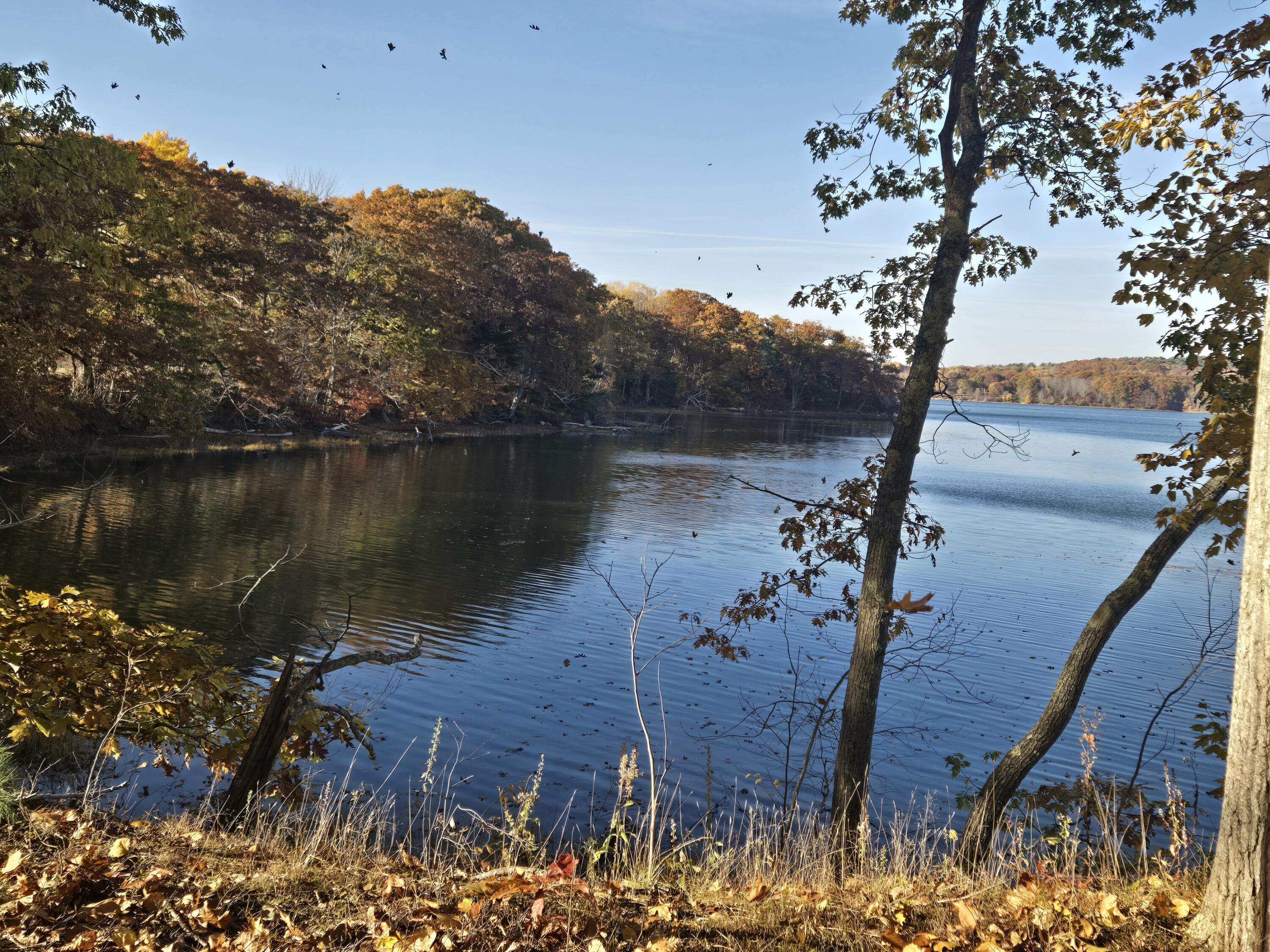 902 Dutch Neck Road, Waldoboro, ME, 04572