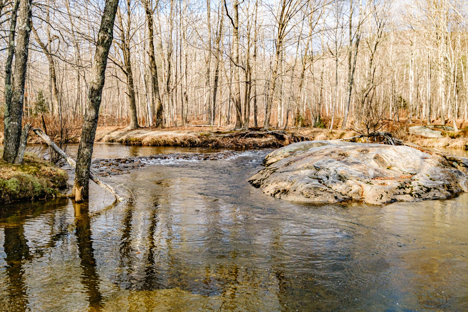 8 Deer Hill Road, Stow, ME, 04037