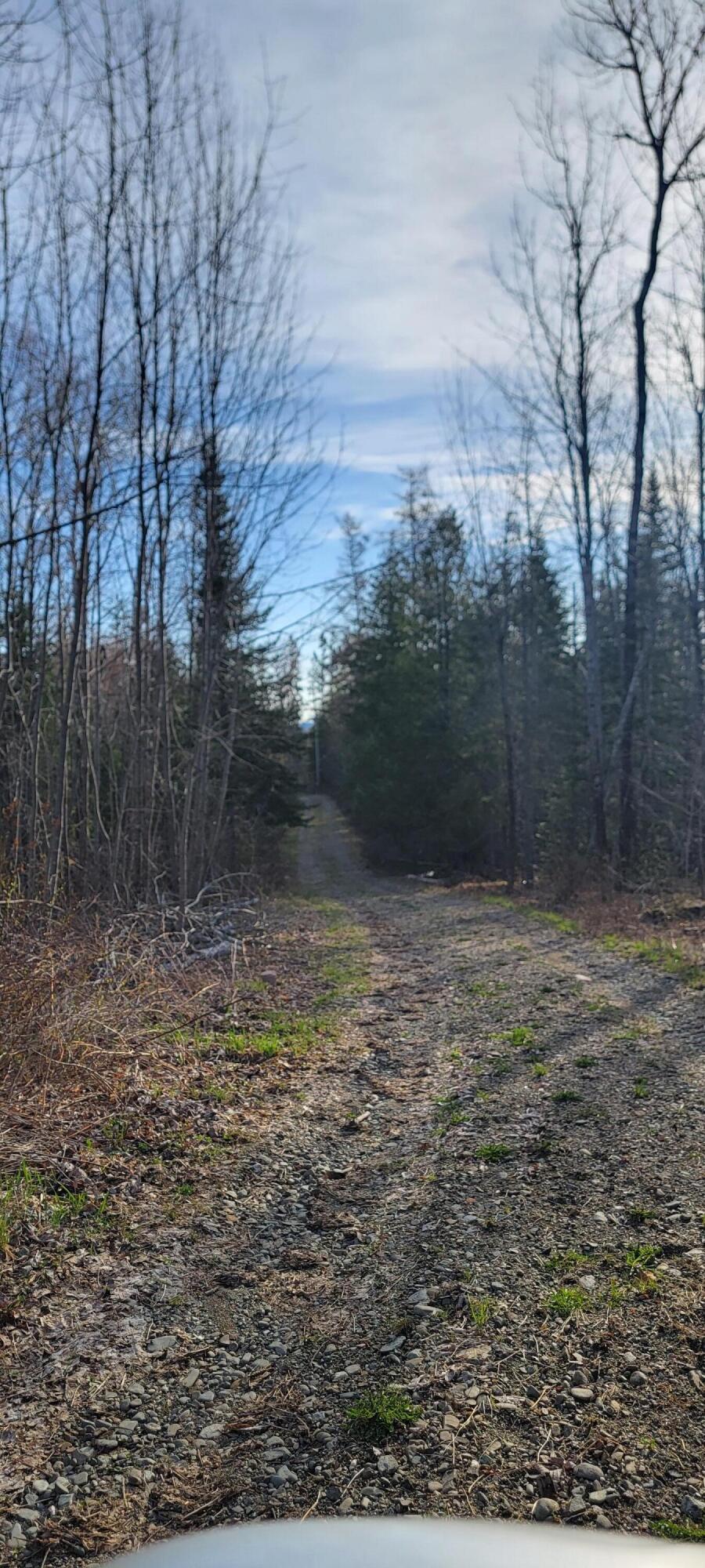 69 Hodgins Lane, Calais, ME, 04619