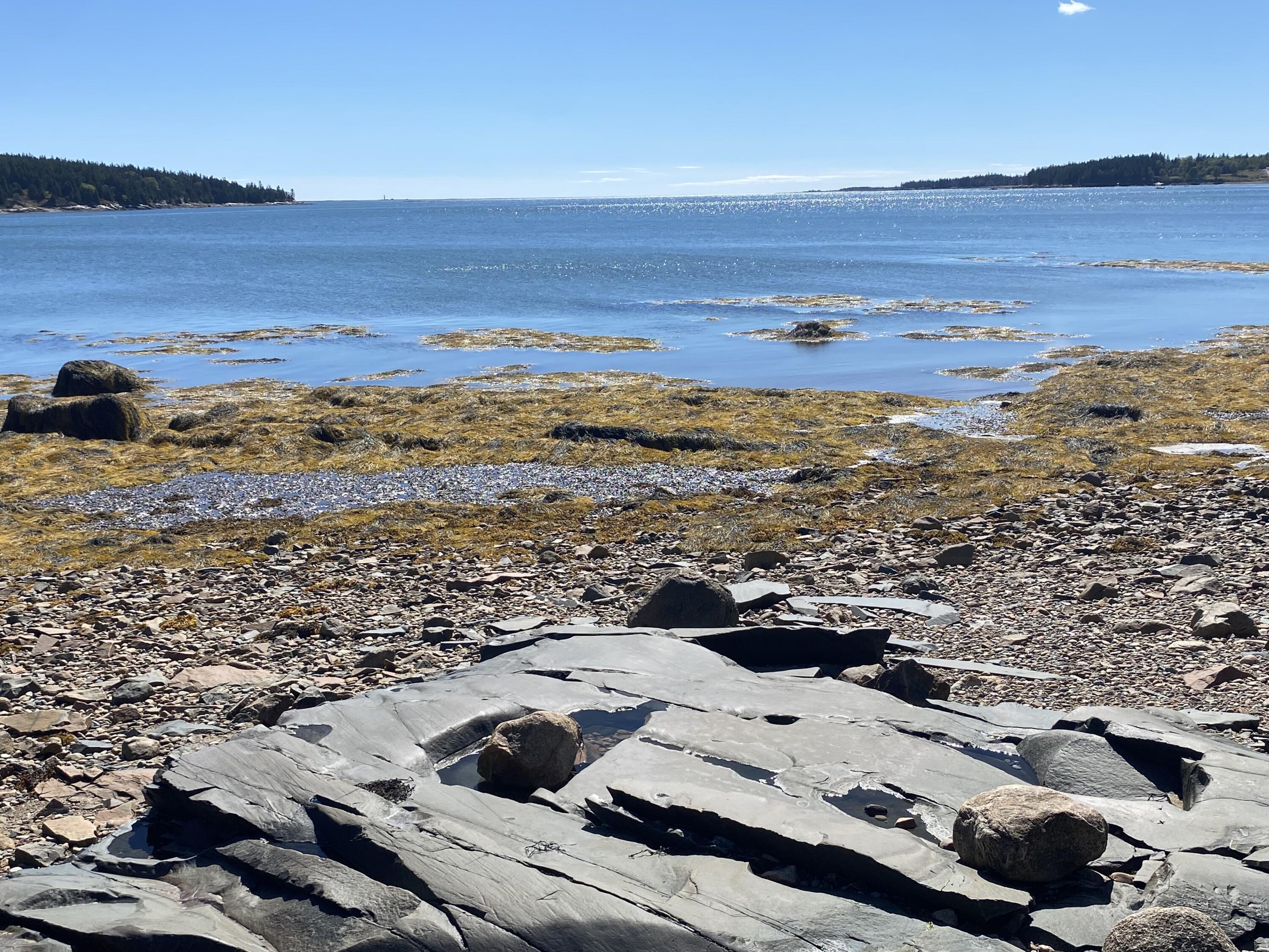 33 Chipman Point Road, Steuben, ME, 04680