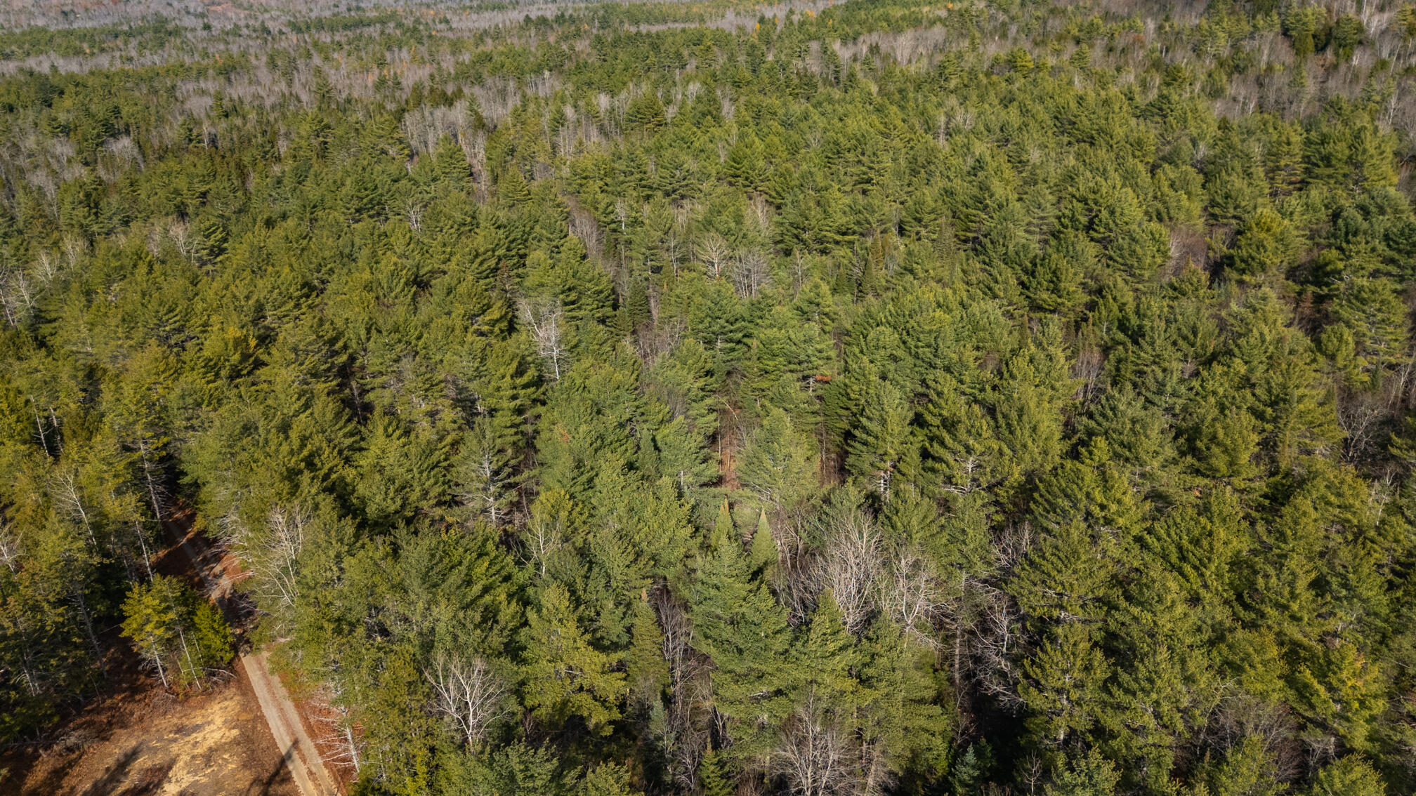 Search Homes for Sale