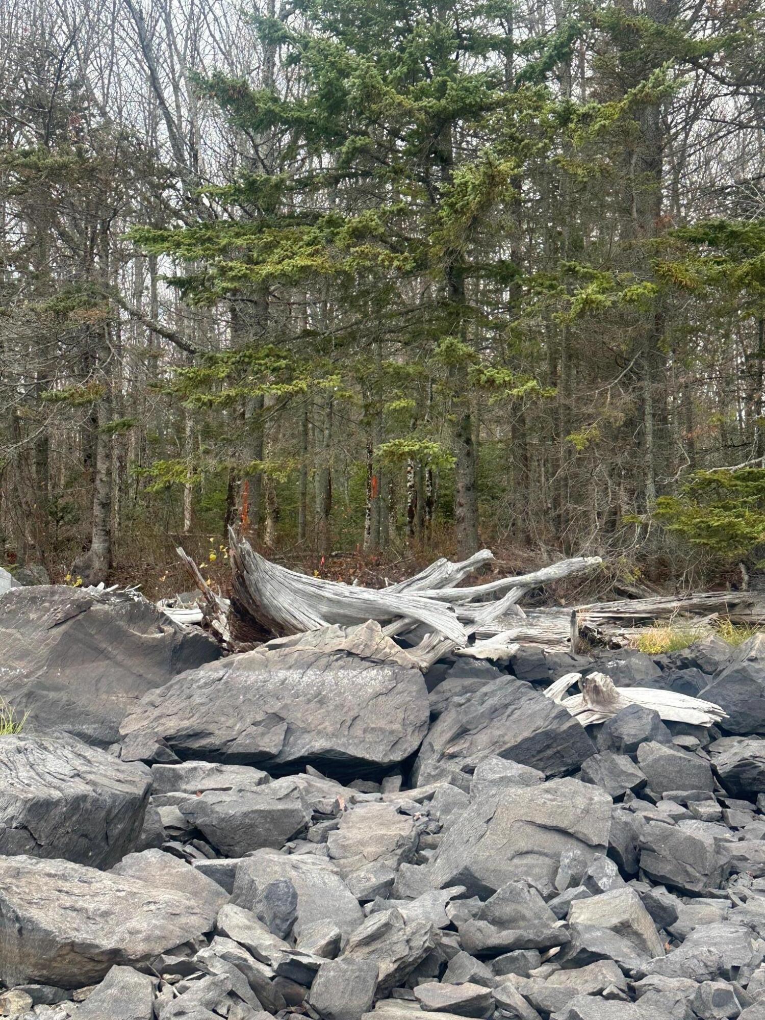 TBD Paradise Lane, Tomhegan Twp, ME, 04478