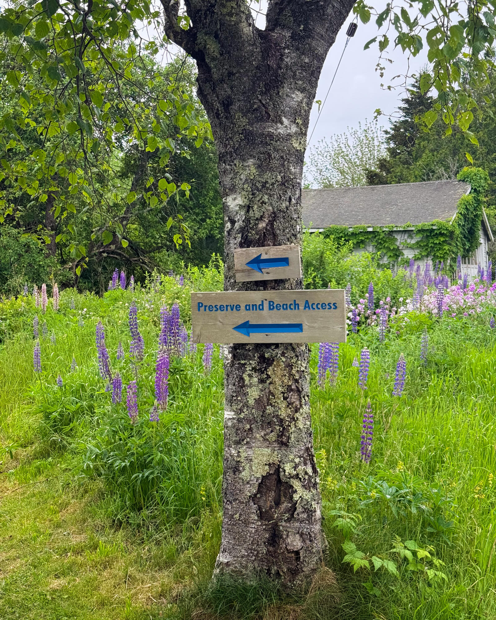 260 Clark Island Road, Saint George, ME, 04859