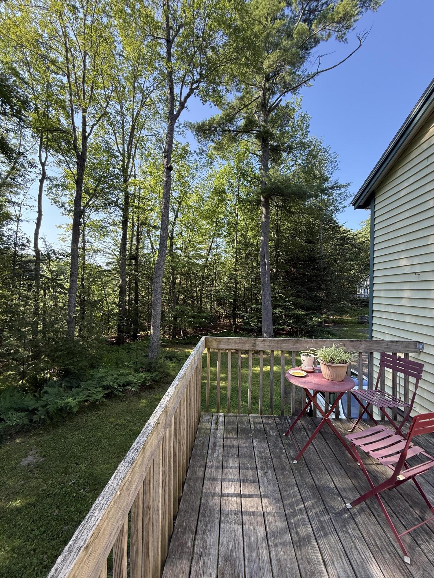 Side yard