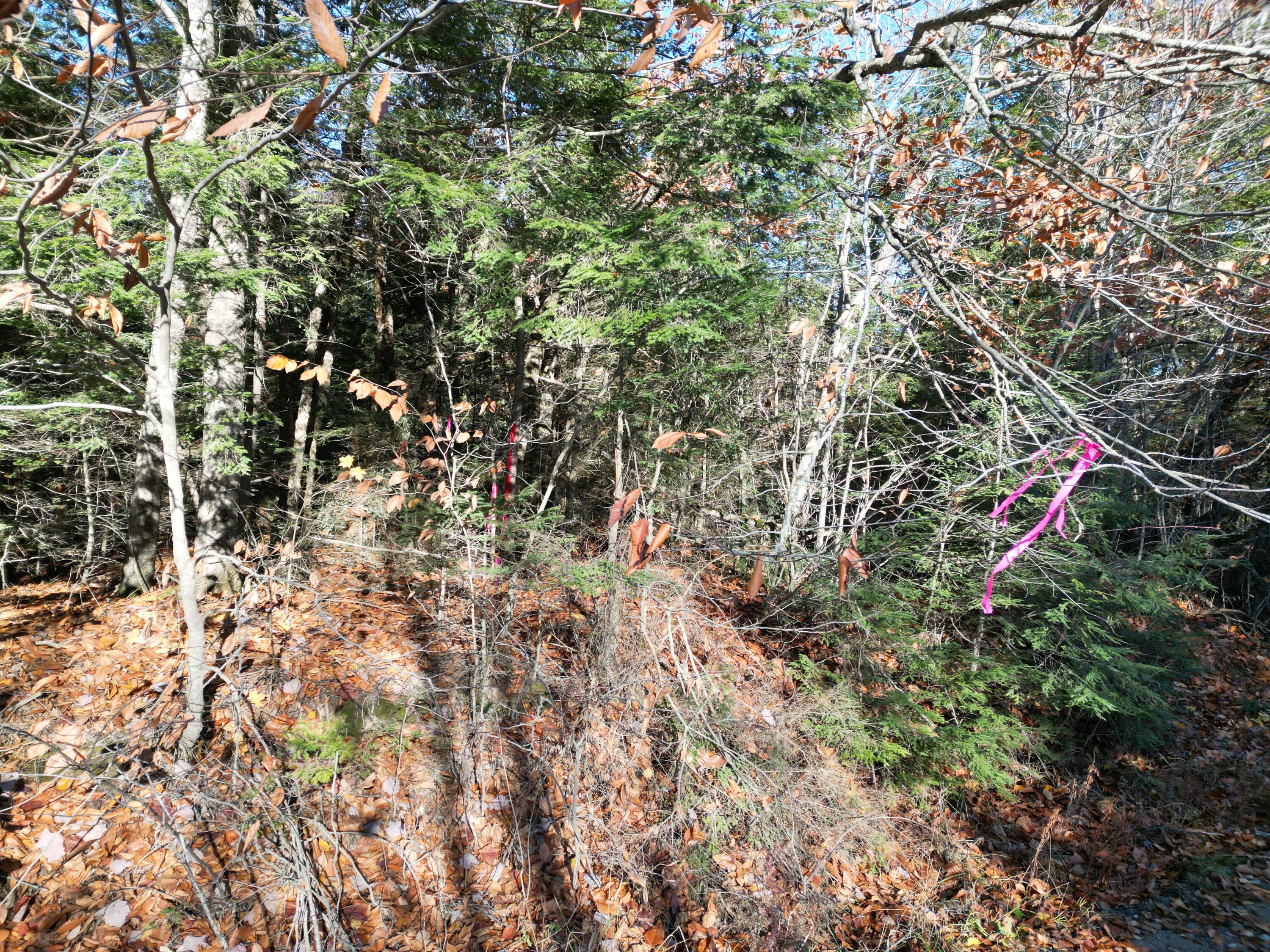 Lot 18-1 Mattamiscontis Road, Howland, ME, 04448