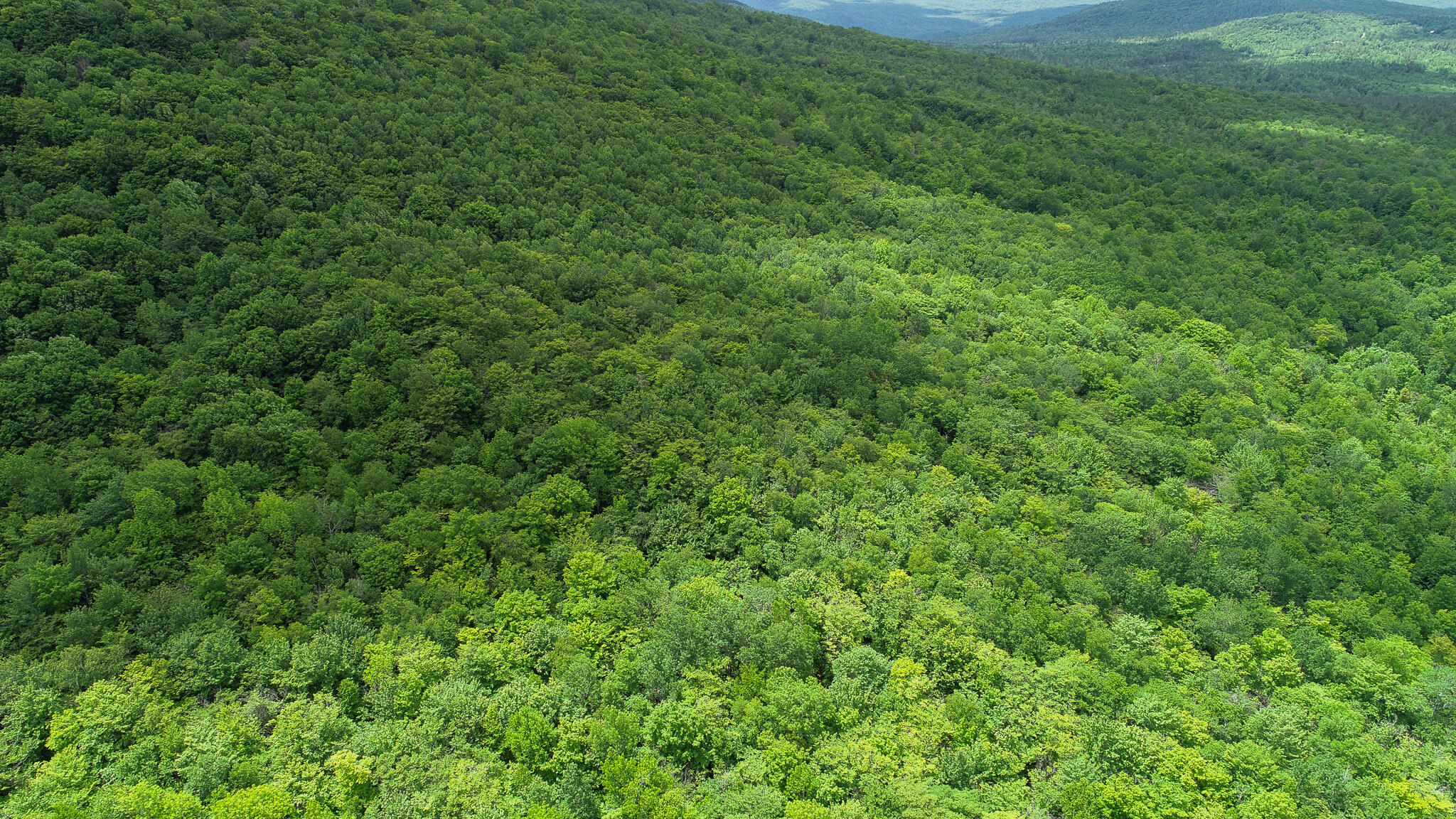 Map 402 Lot 9, Rumford, ME, 04276