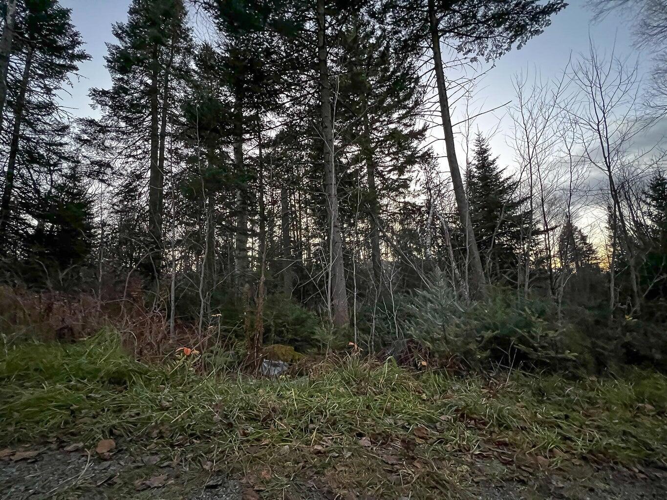 Lot 16 Mill Brook Road, Sandy River Plt, ME, 04970