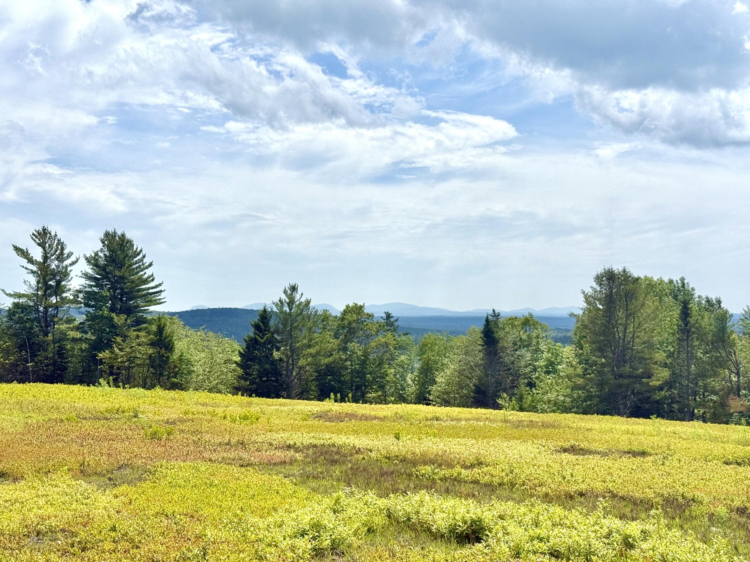 MAP13LOT11 Martins Ridge Road, Franklin, ME, 04634