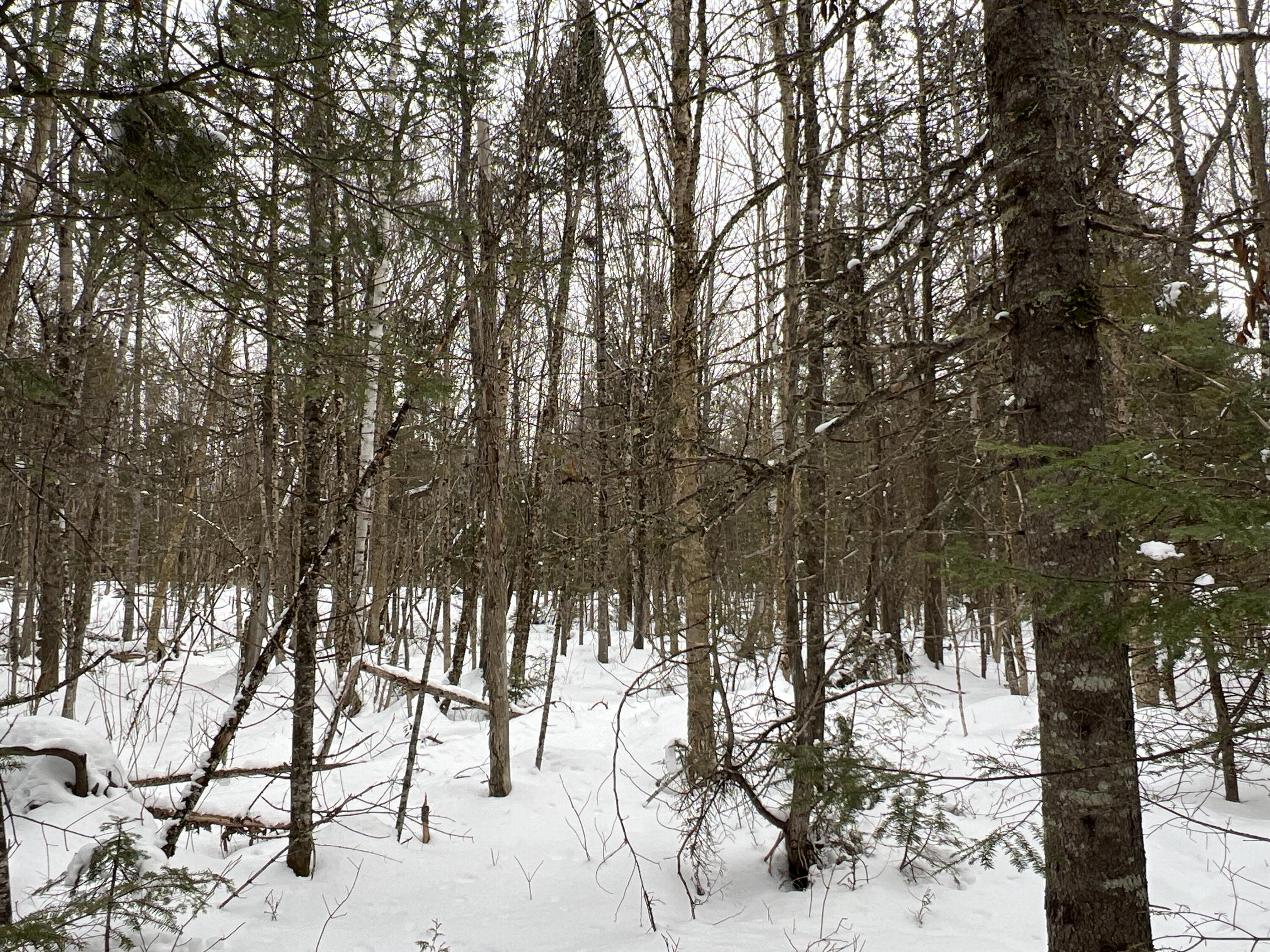 Lot 2-18 Shin Pond Road, Mount Chase, ME, 04765