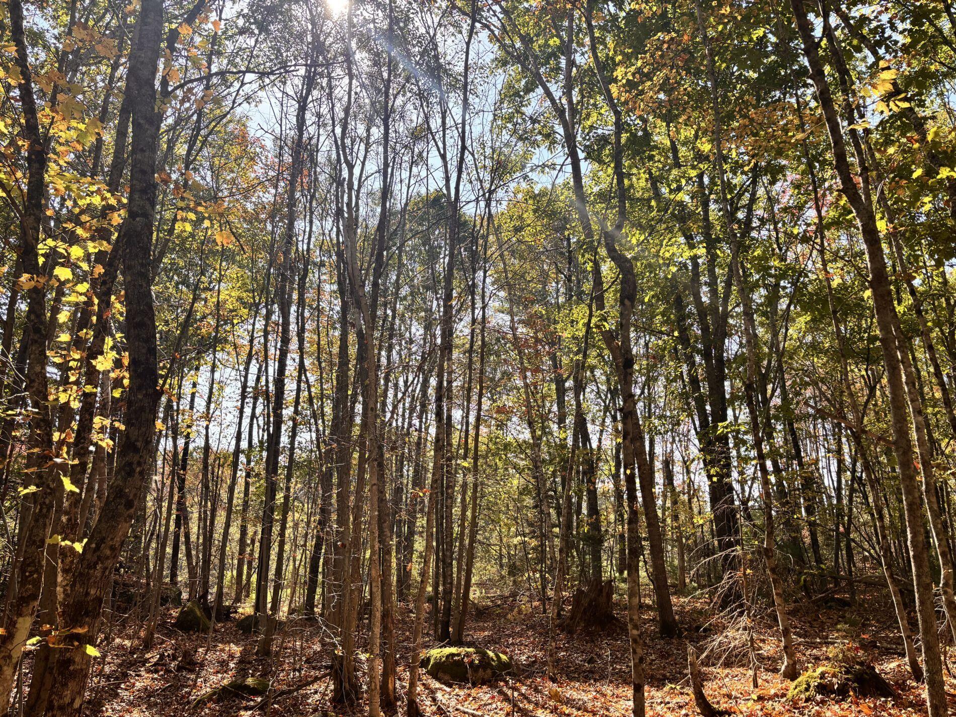 150 Bowden Point Road, Prospect, ME, 04981