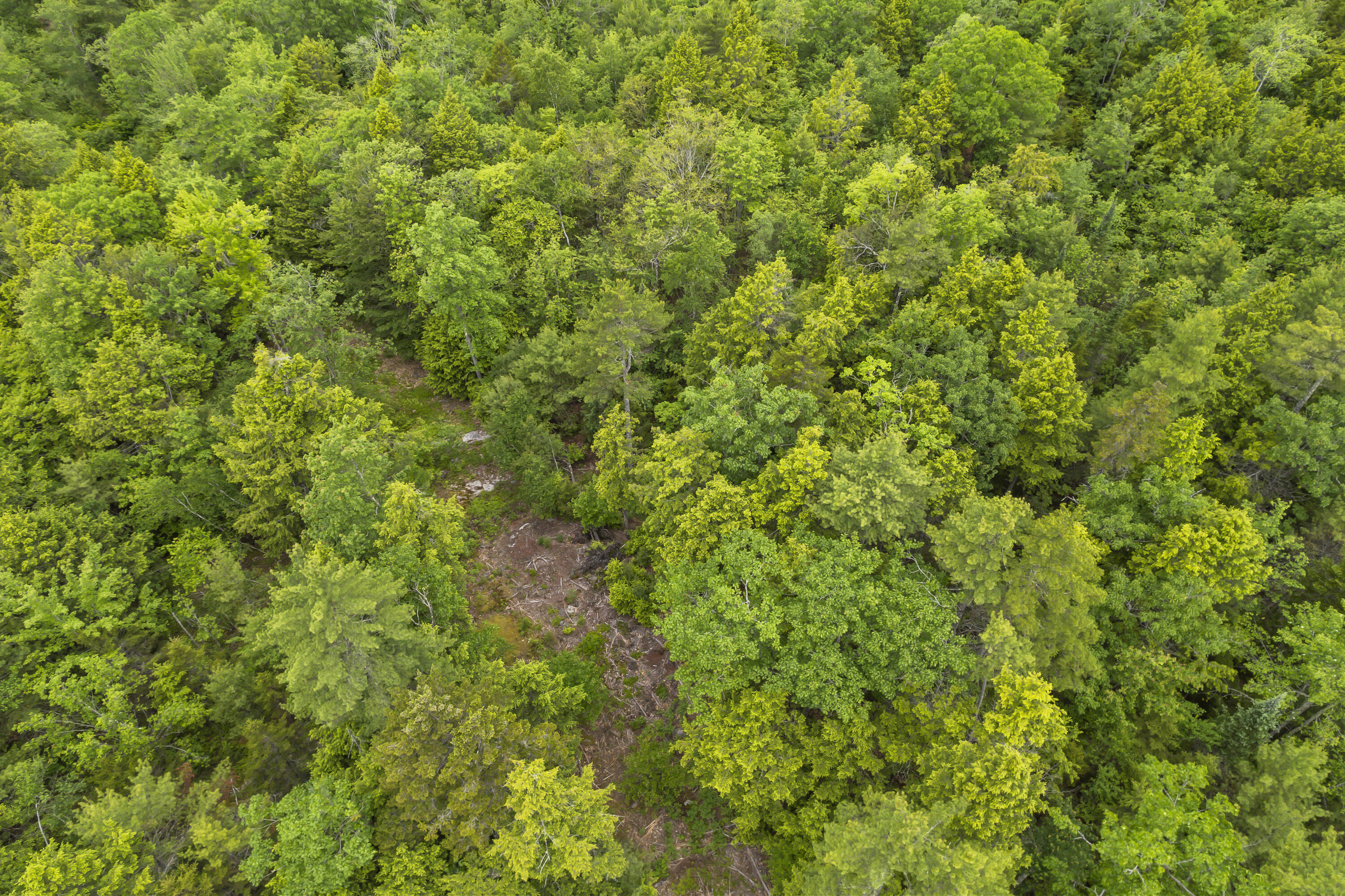 44A Trott Road Road, Woolwich, ME, 04579