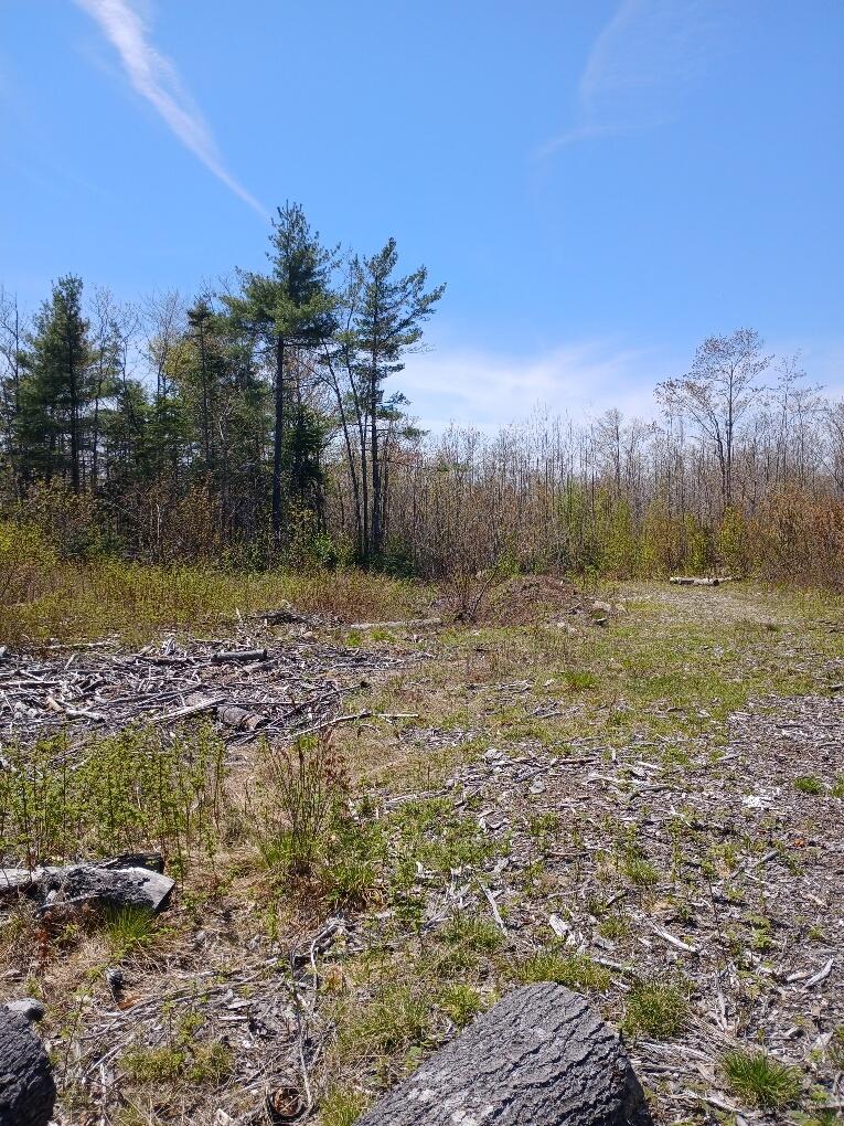 Search Homes for Sale