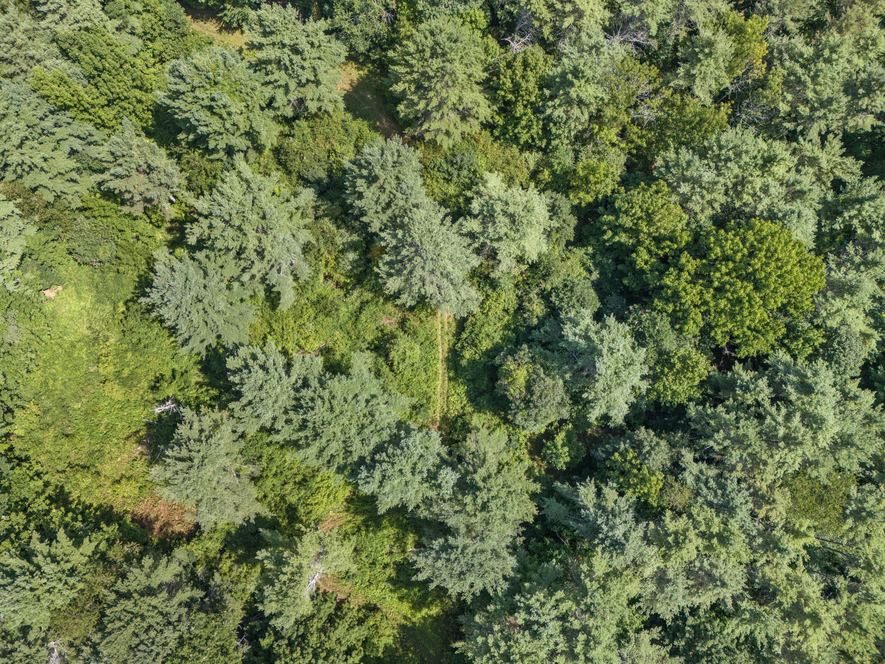 Lot 12 Hallowell Road, Litchfield, ME, 04350