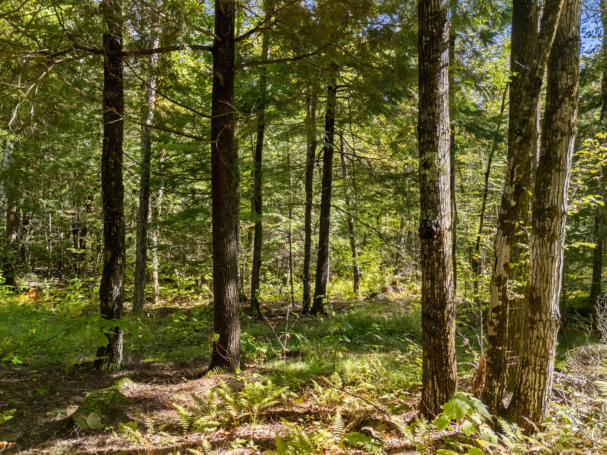 Lot UNIT&nbsp;1 Millay Lane, Union, ME, 04862