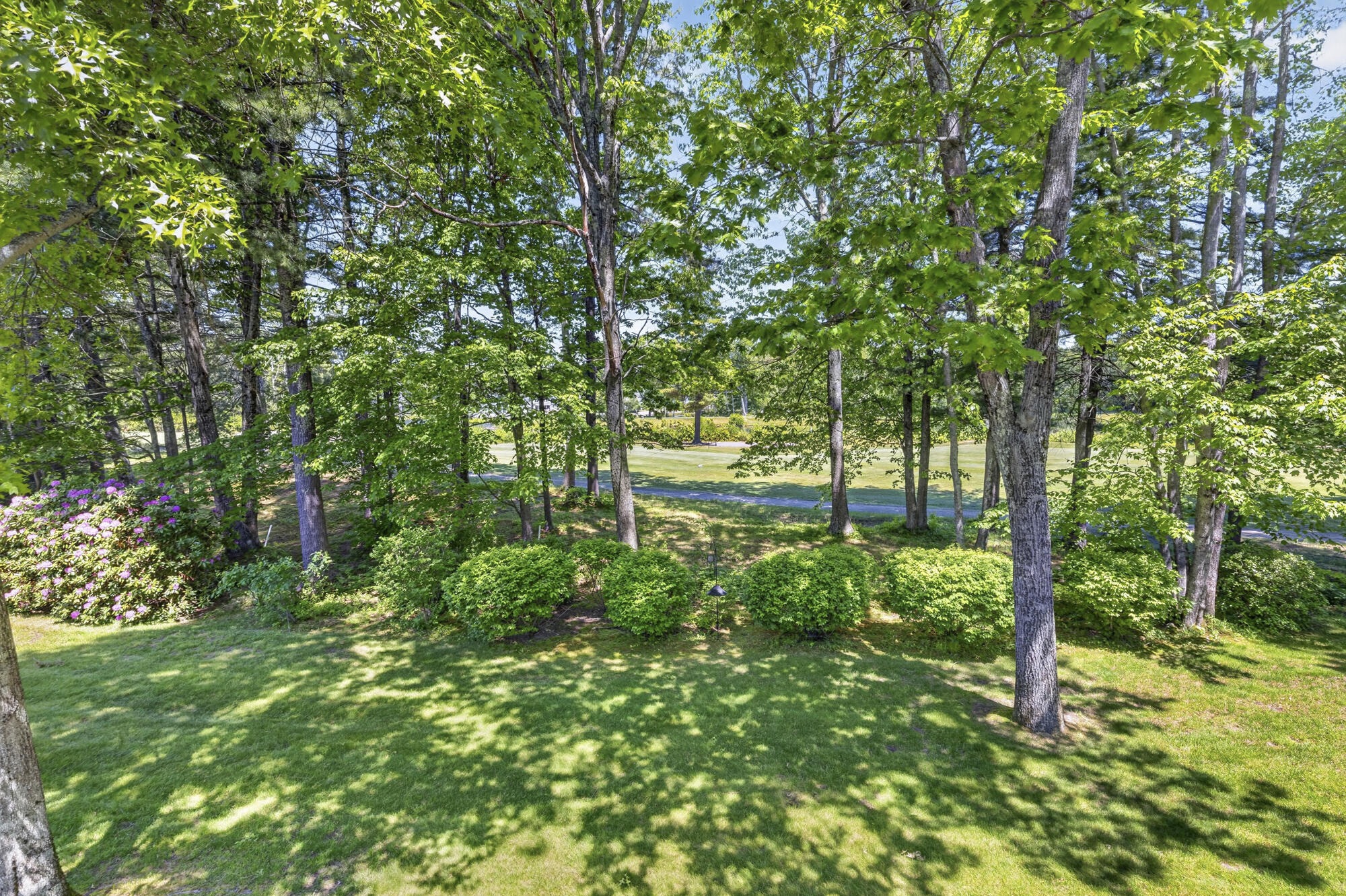 51 Wild Dunes_22_17