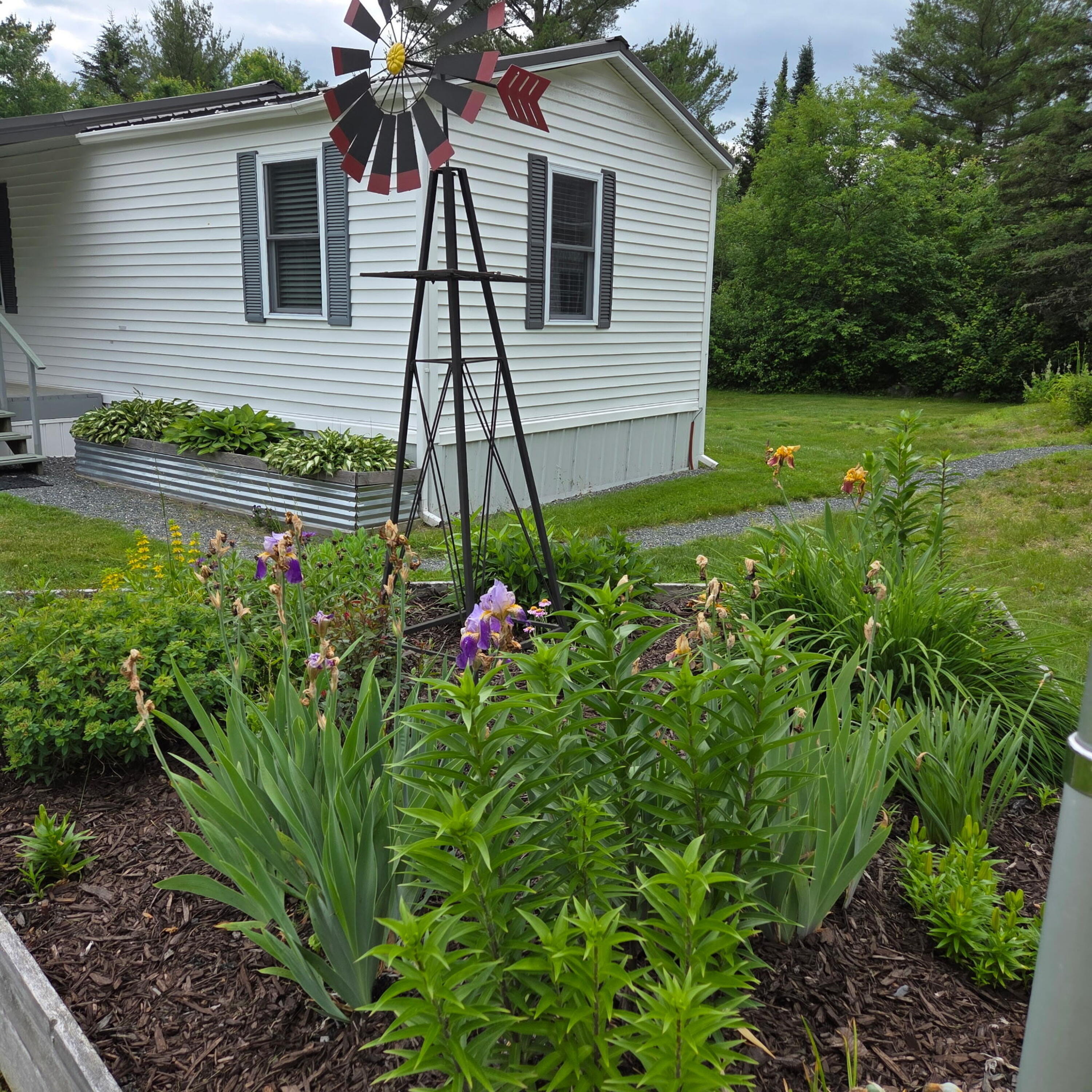 62 Fothingill Road, Greenbush, ME 04418 20260619_145930