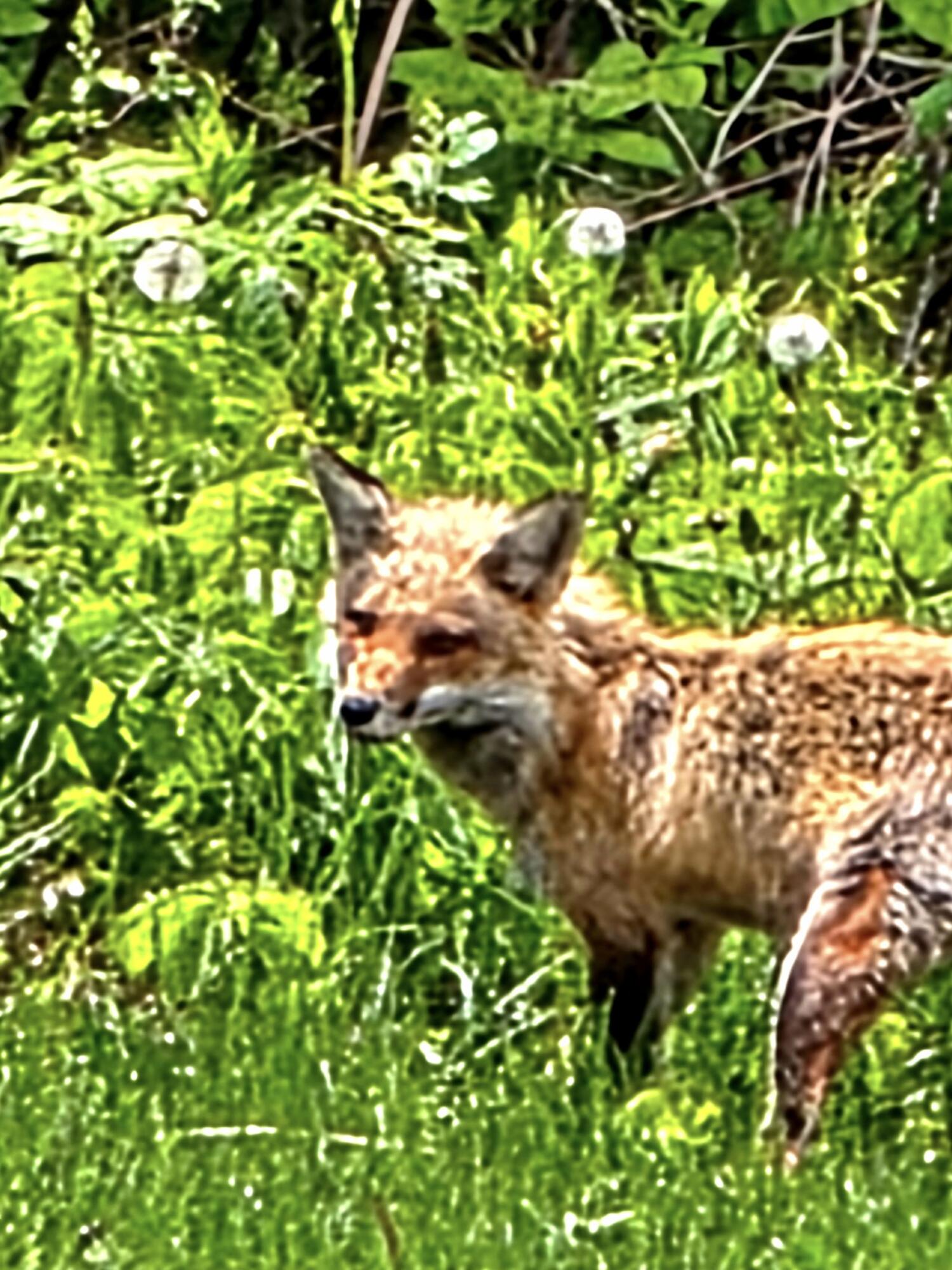 28 Messina Drive, Skowhegan, ME, 04976