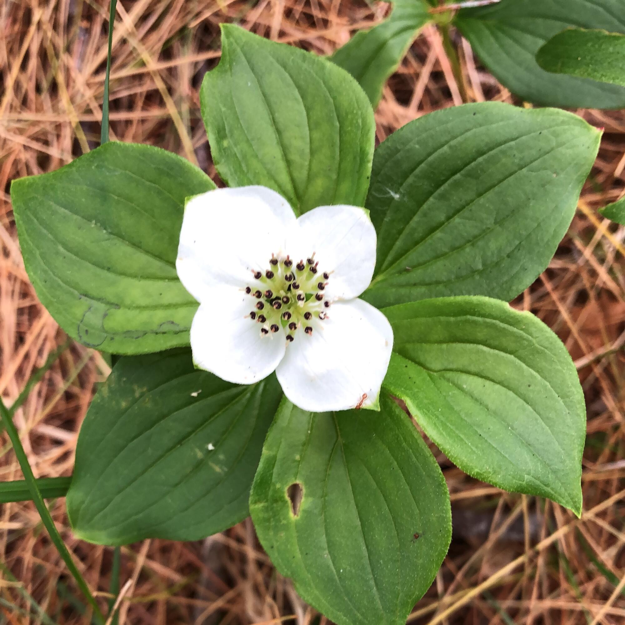 474 N Howland Road, Howland, ME, 04448