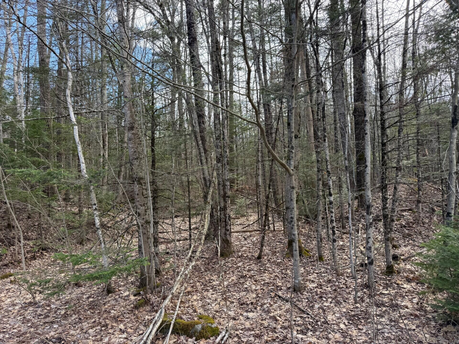 864 Winslows Mills Road, Waldoboro, ME, 04572