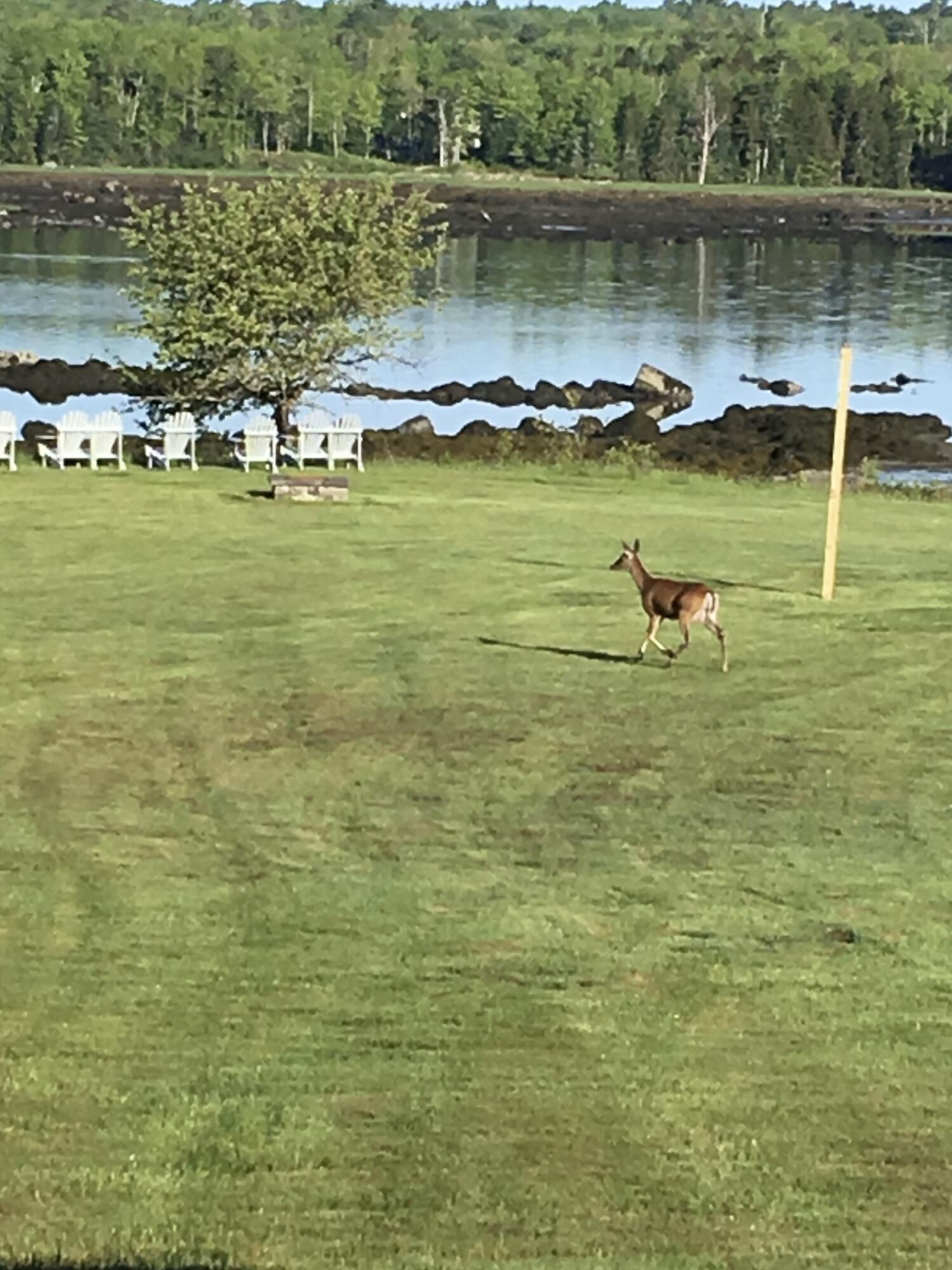 561 Bayside Road, Ellsworth, ME, 04605