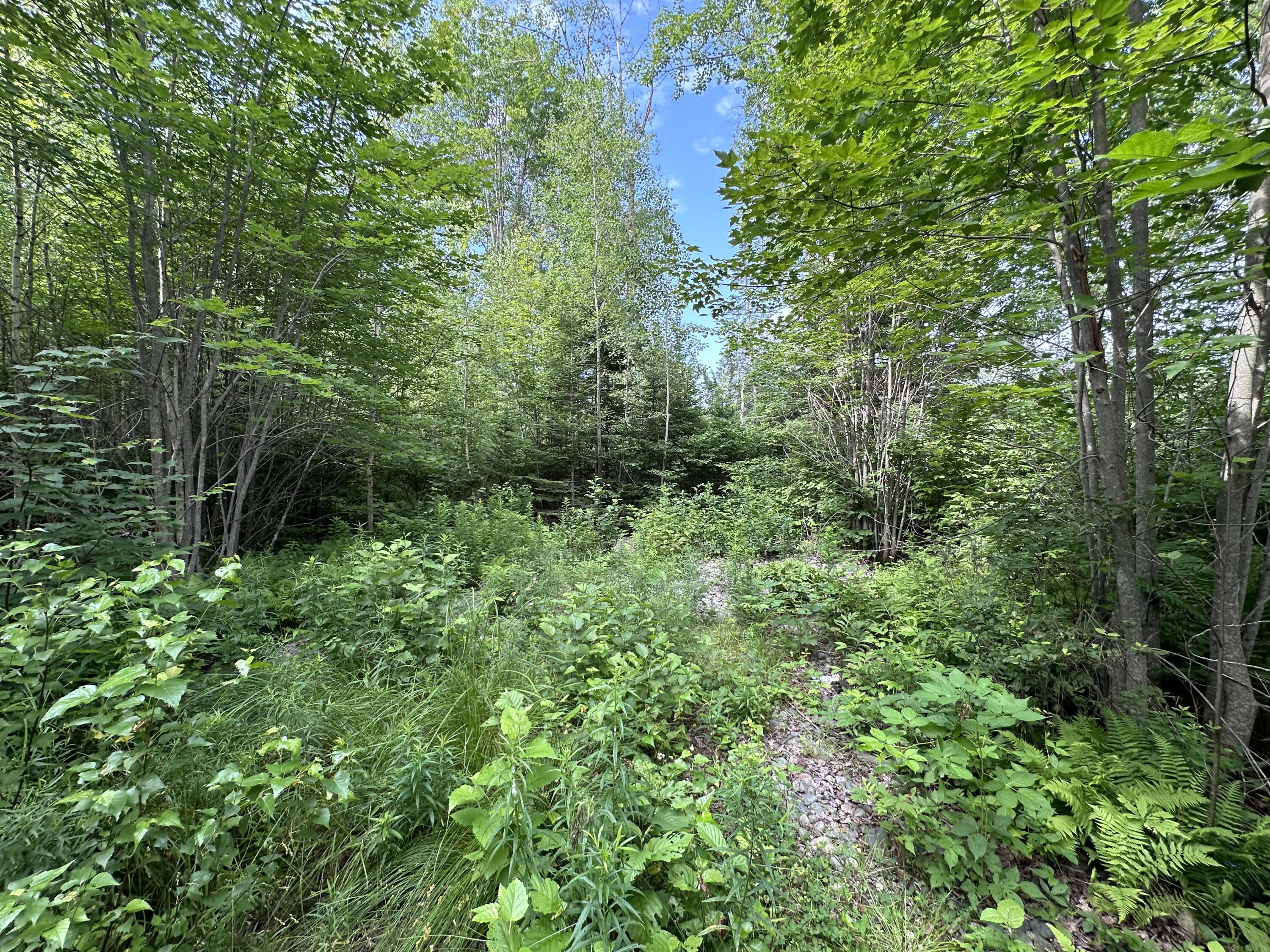 M1L75A South Lagrange Road, Lagrange, ME, 04453