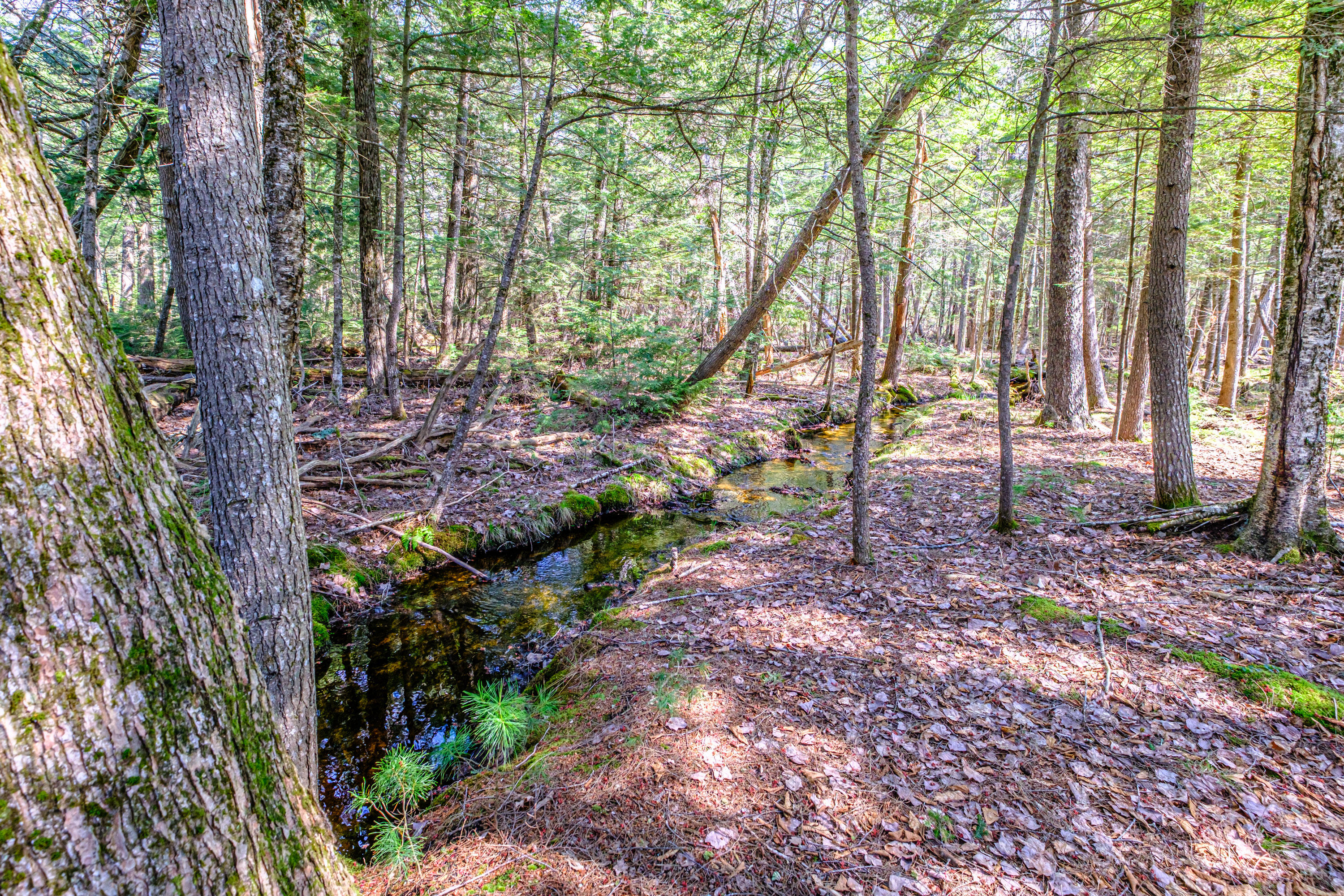 121 Shore Road, Sebago, ME, 04029