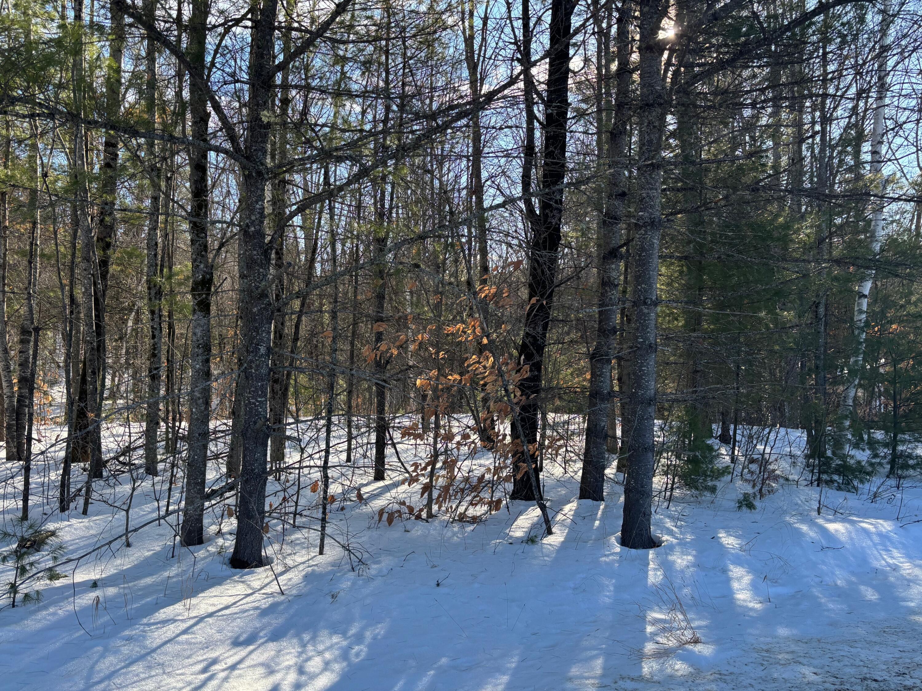 Lot 15-023 Intervale Road, Bethel, ME, 04217